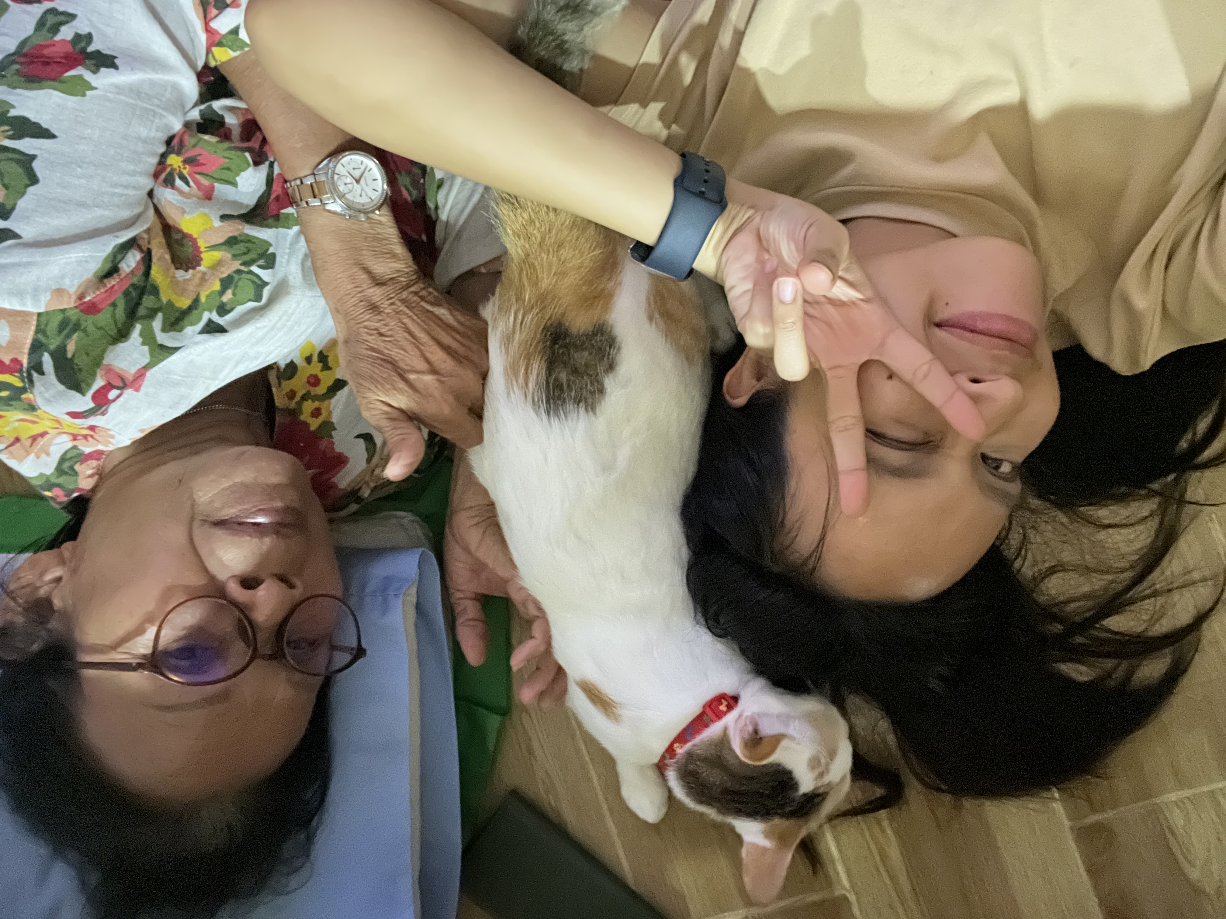 image-6