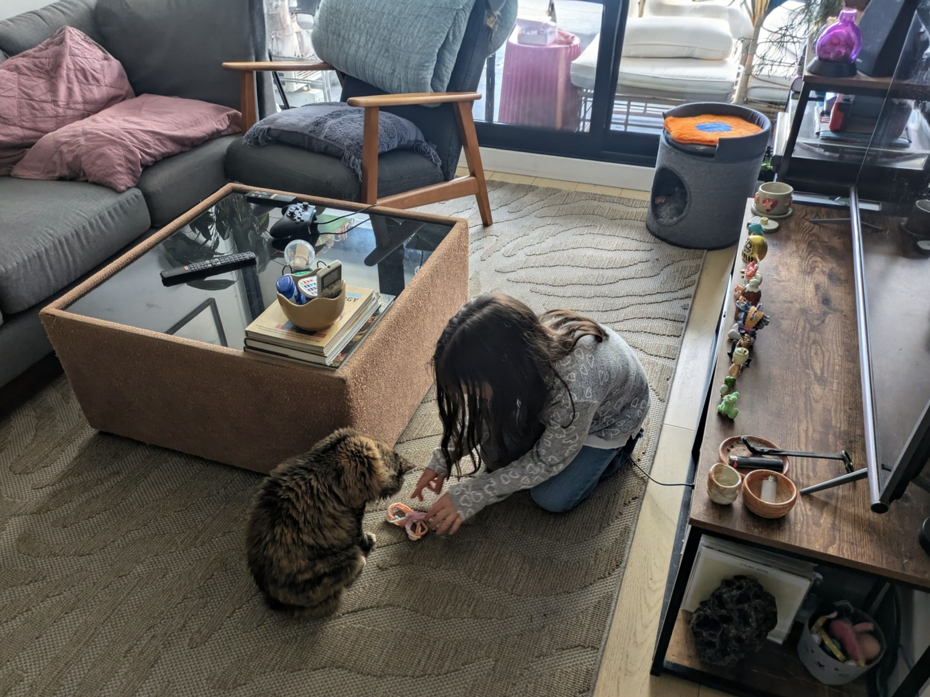 image-19
