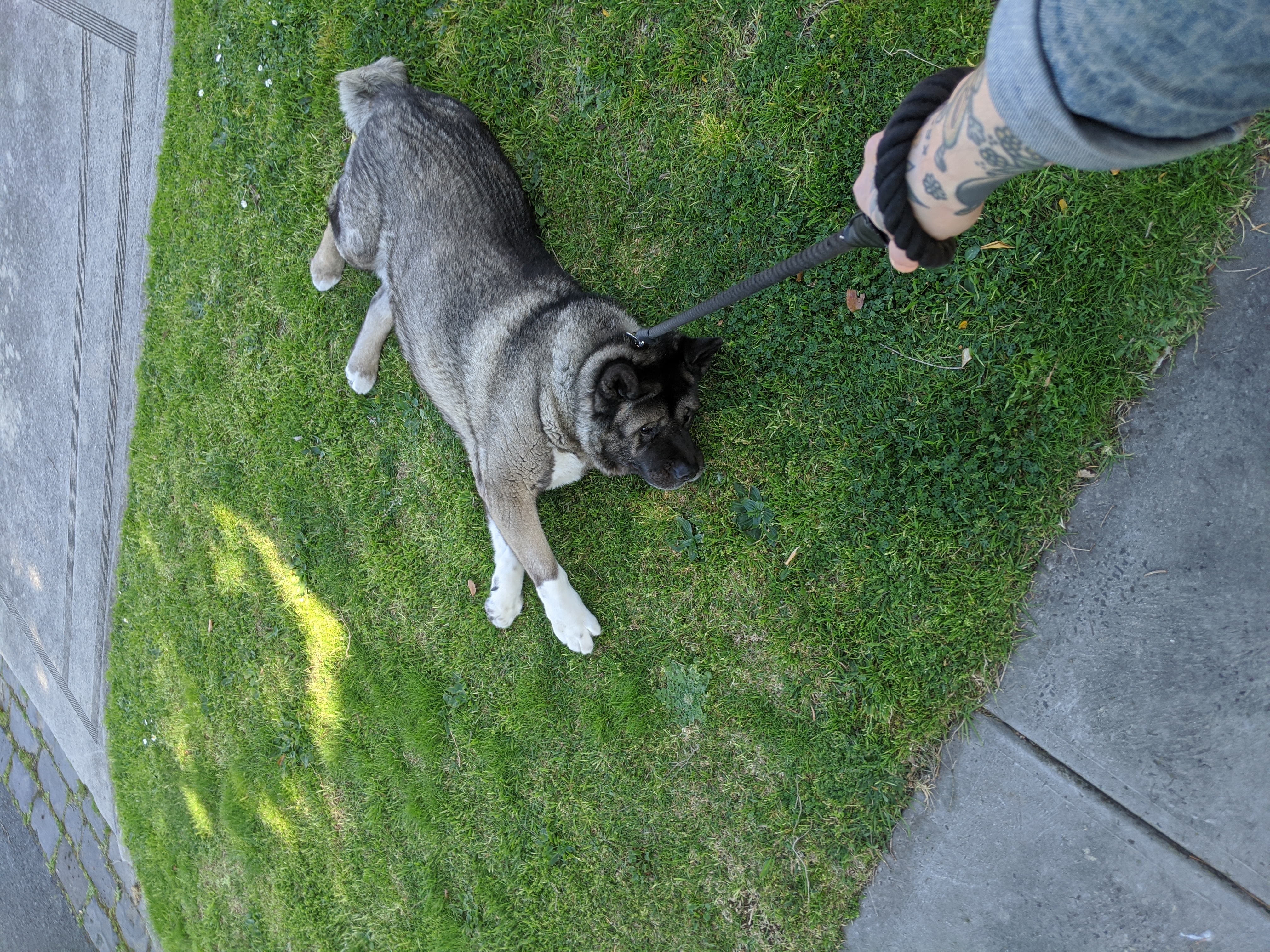 image-14