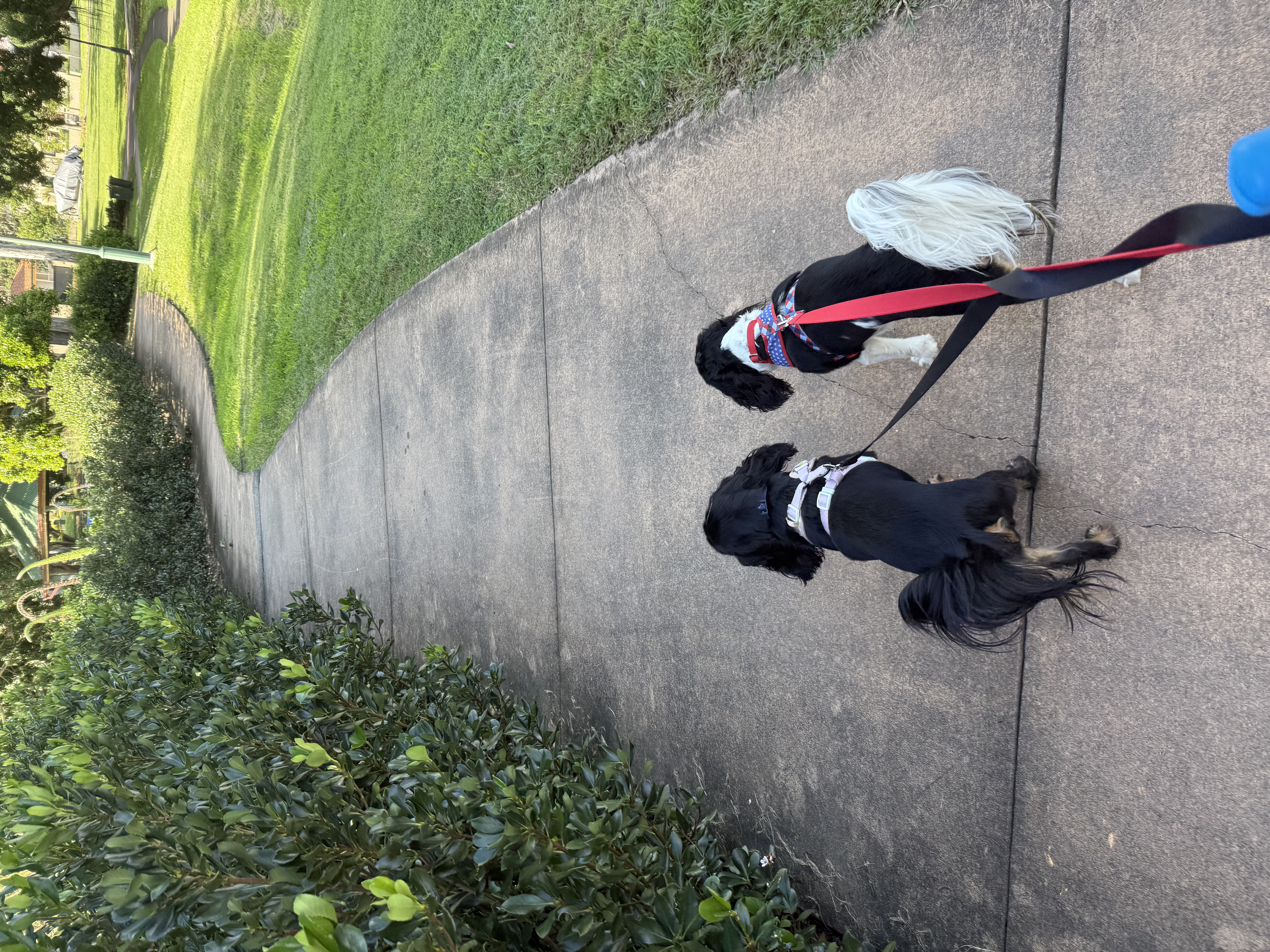 image-8