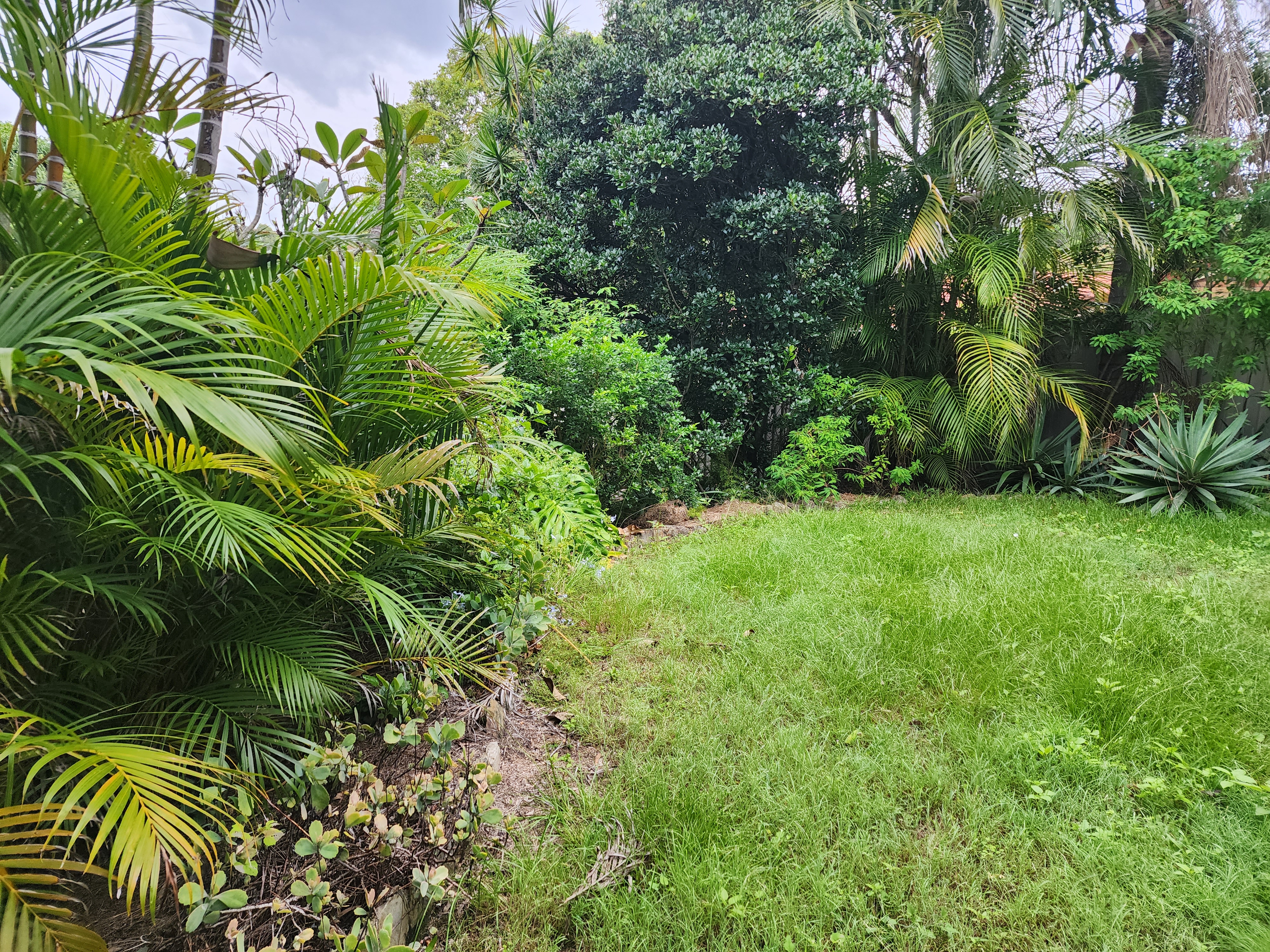 image-19