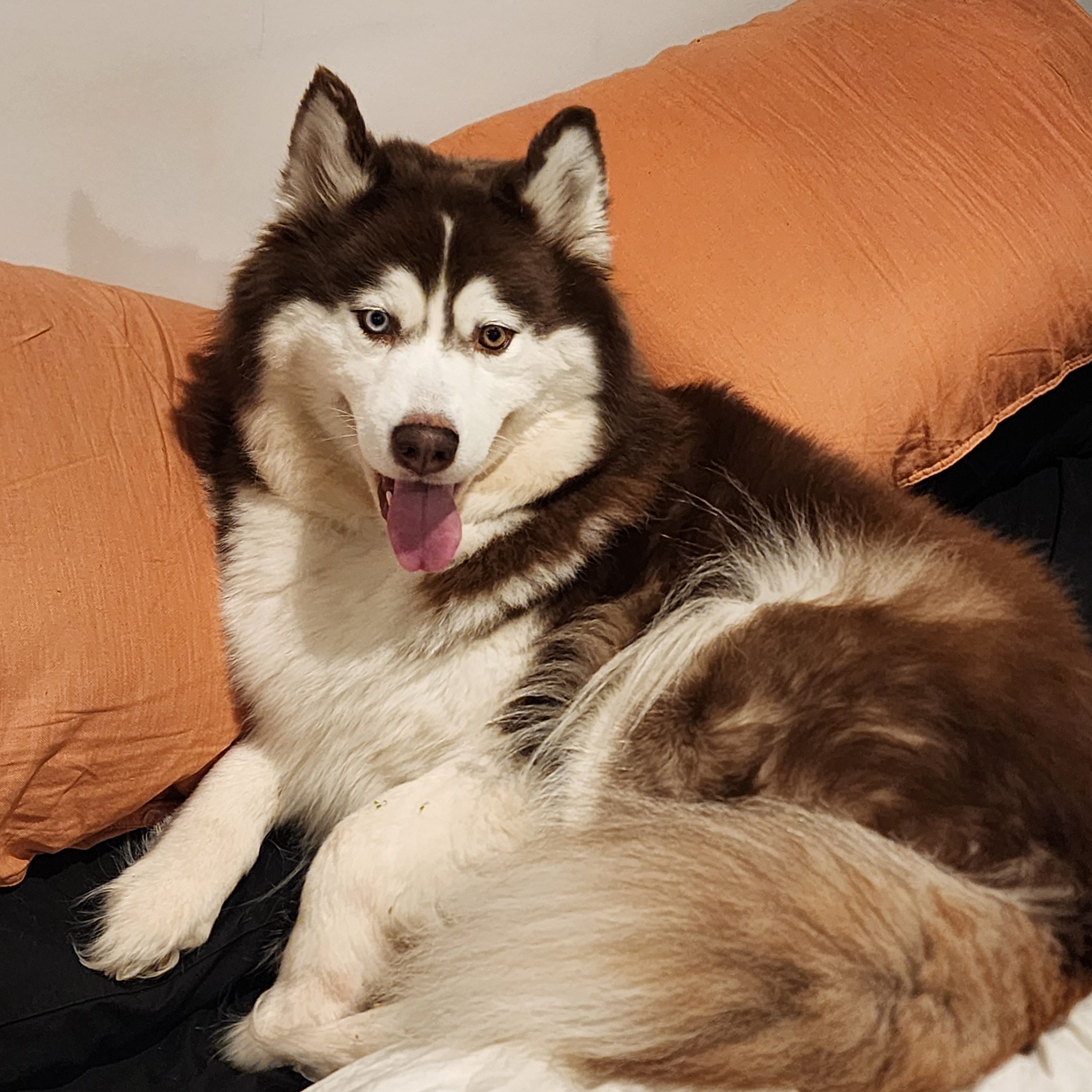 Coco