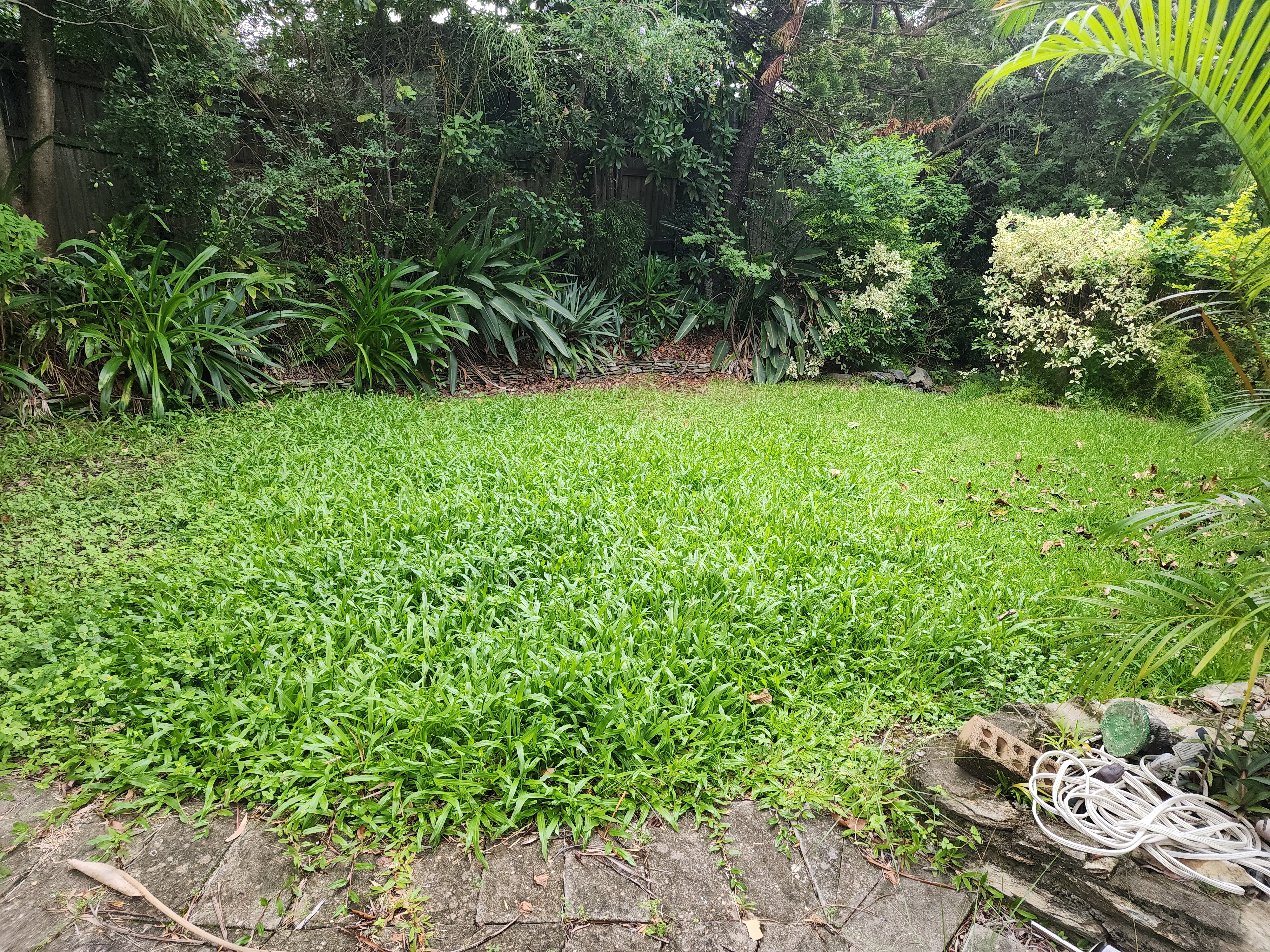 image-18