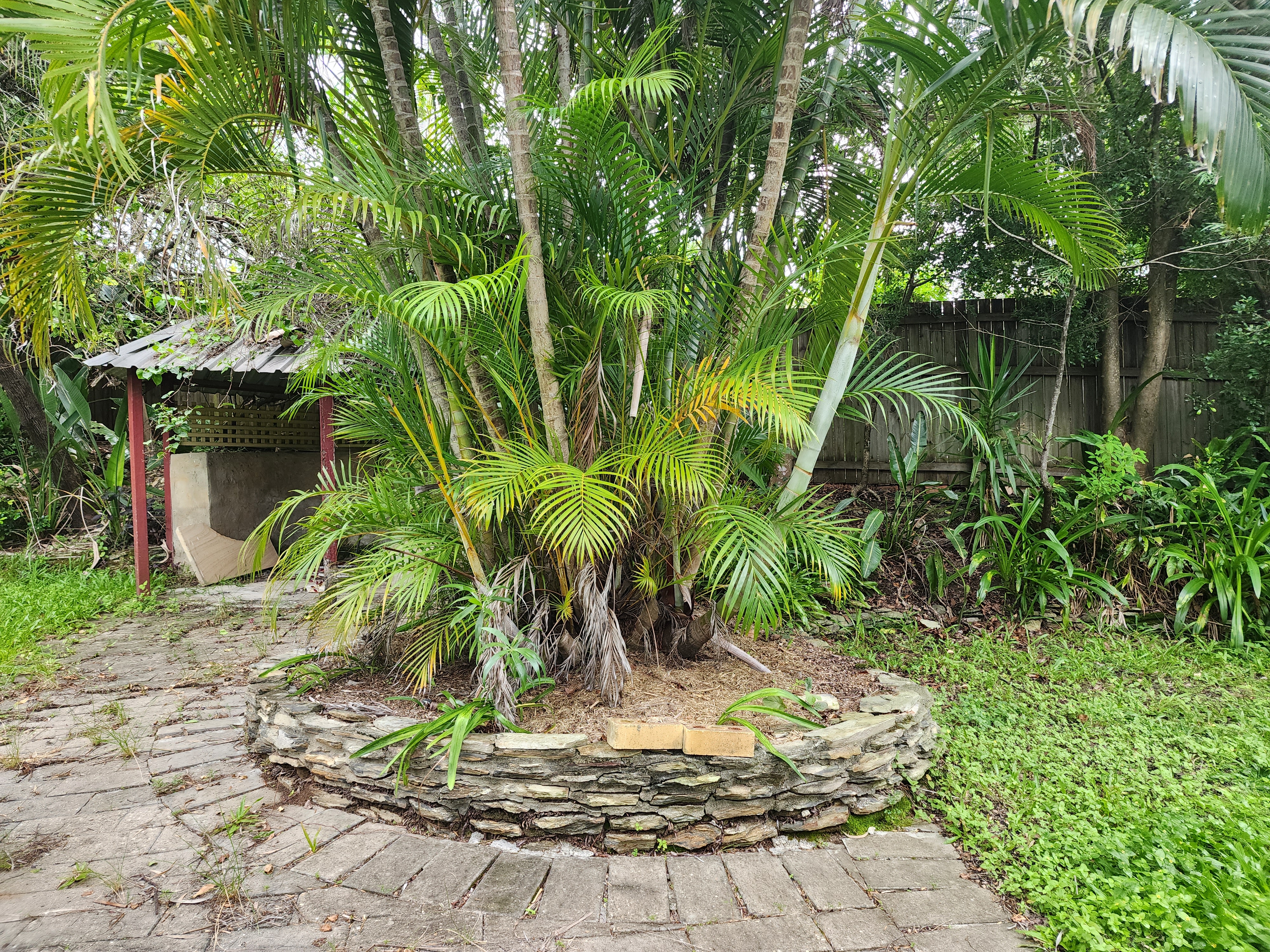 image-17