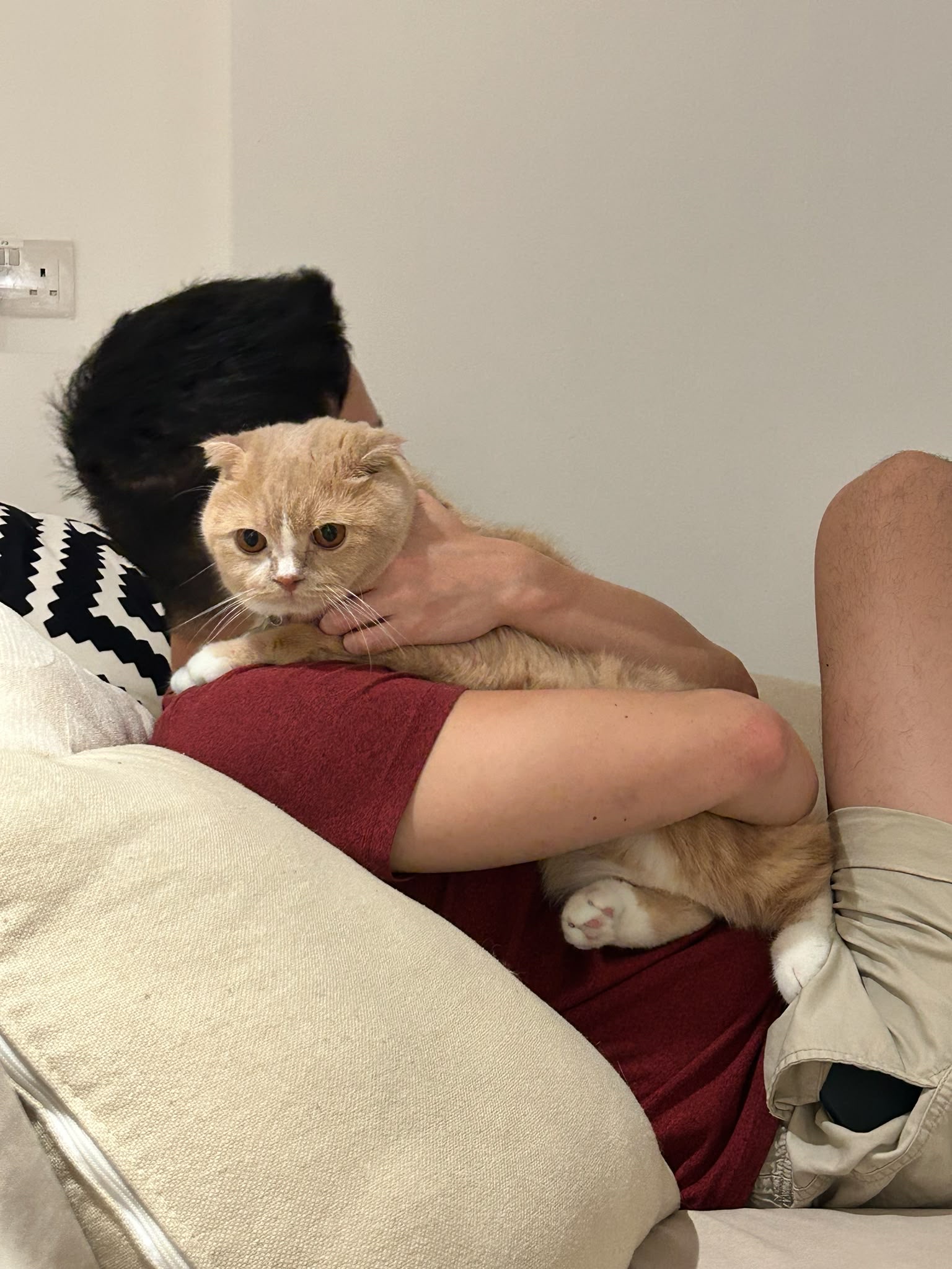image-11