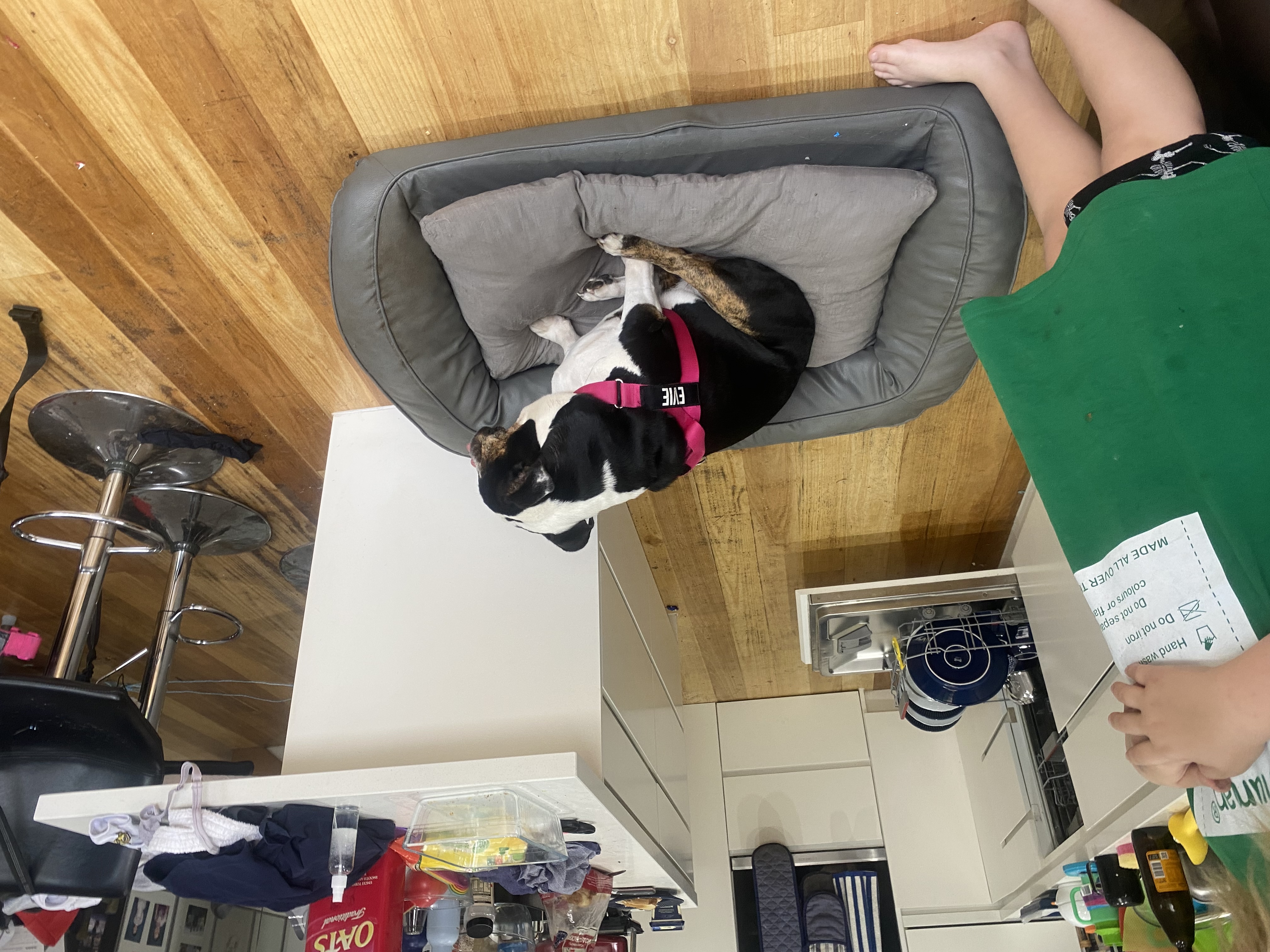 image-16