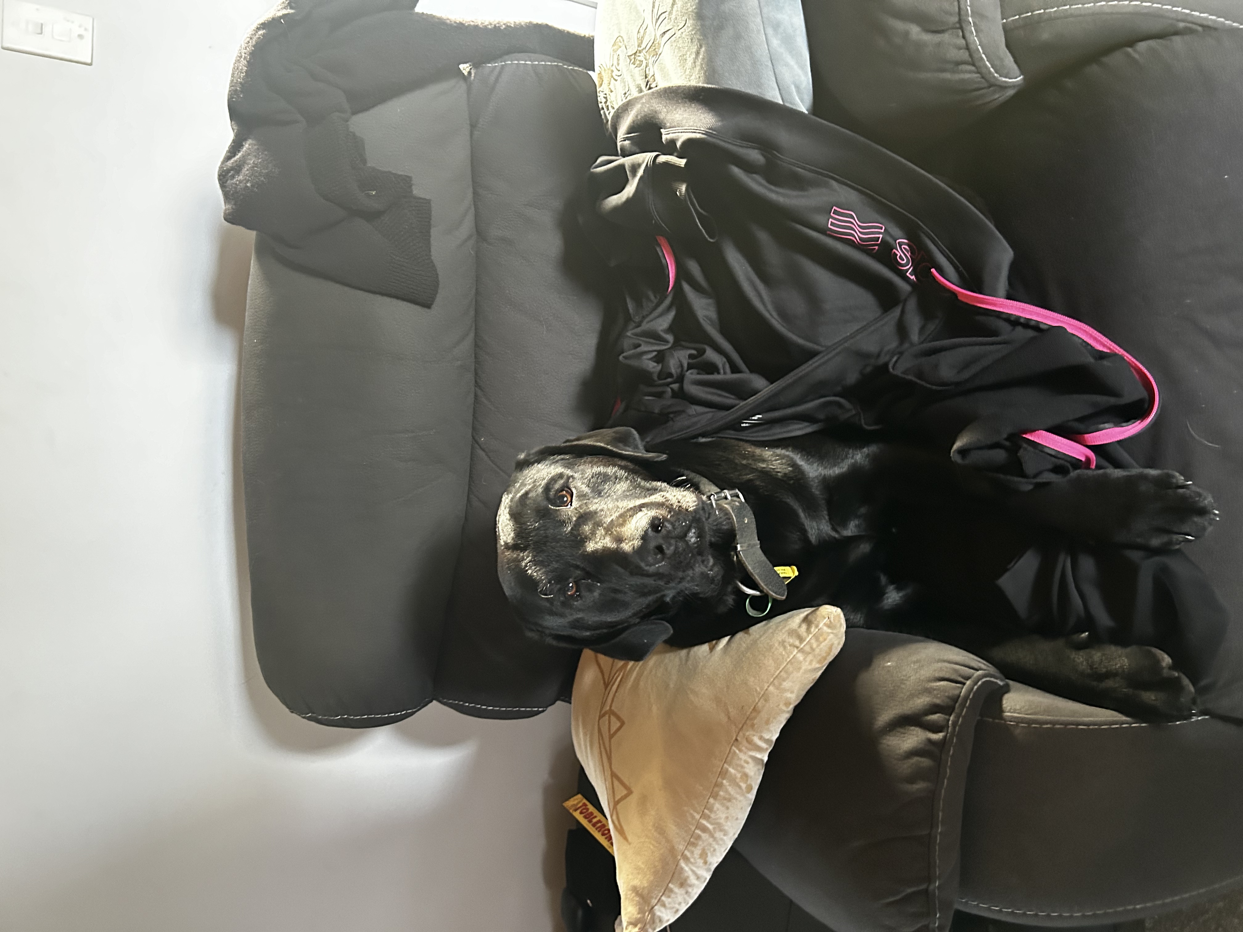 image-10