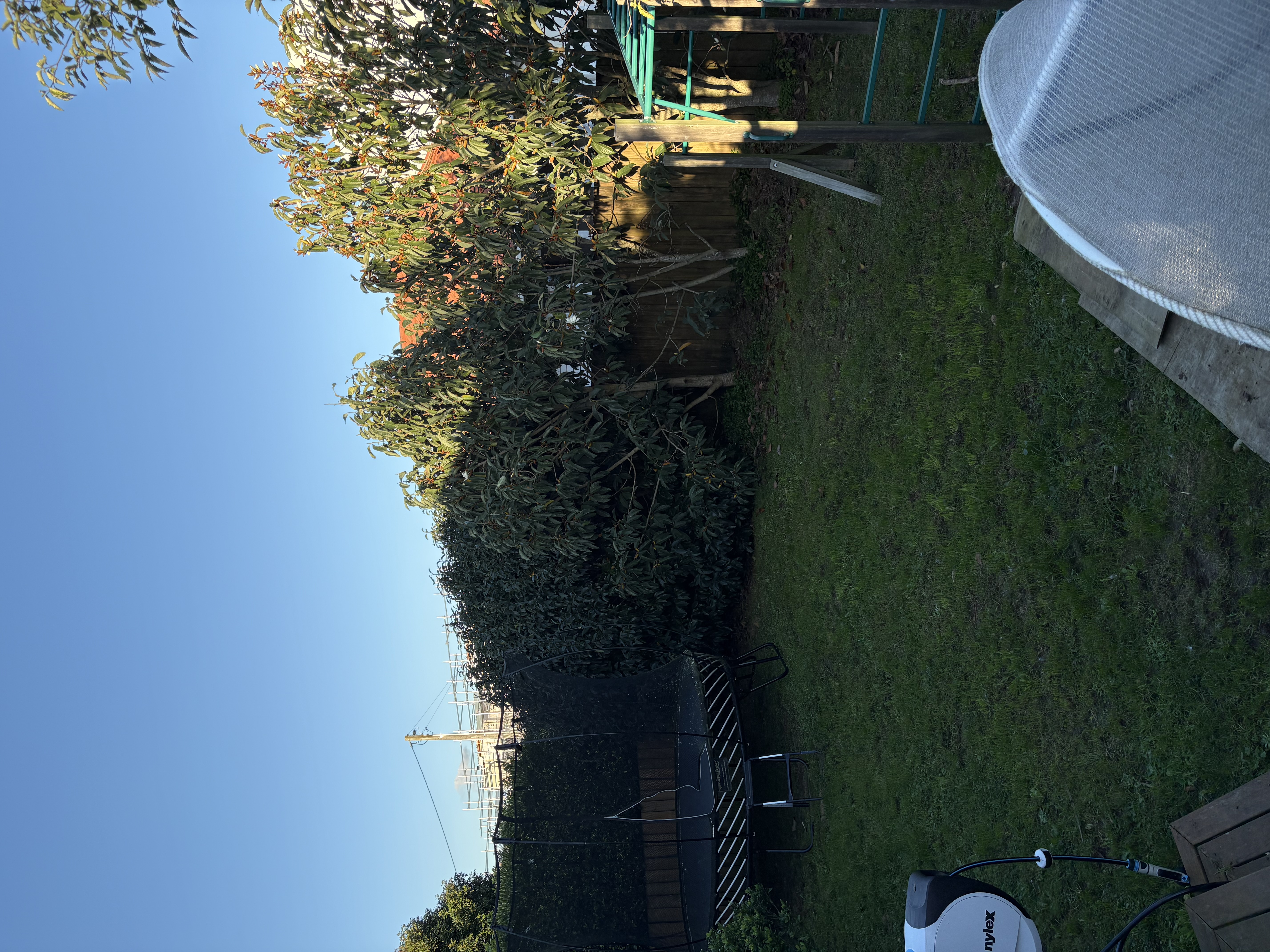 image-15