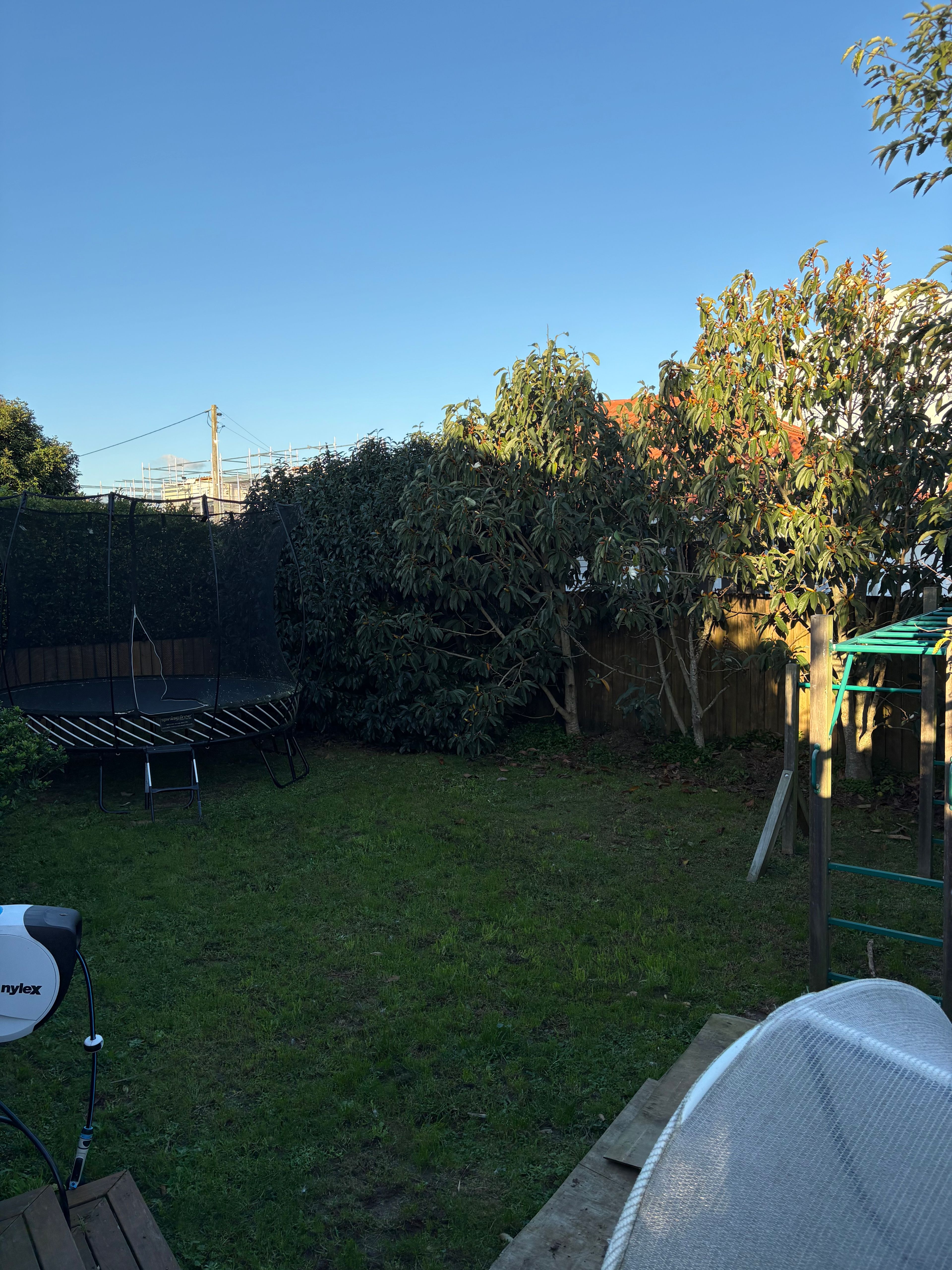image-15