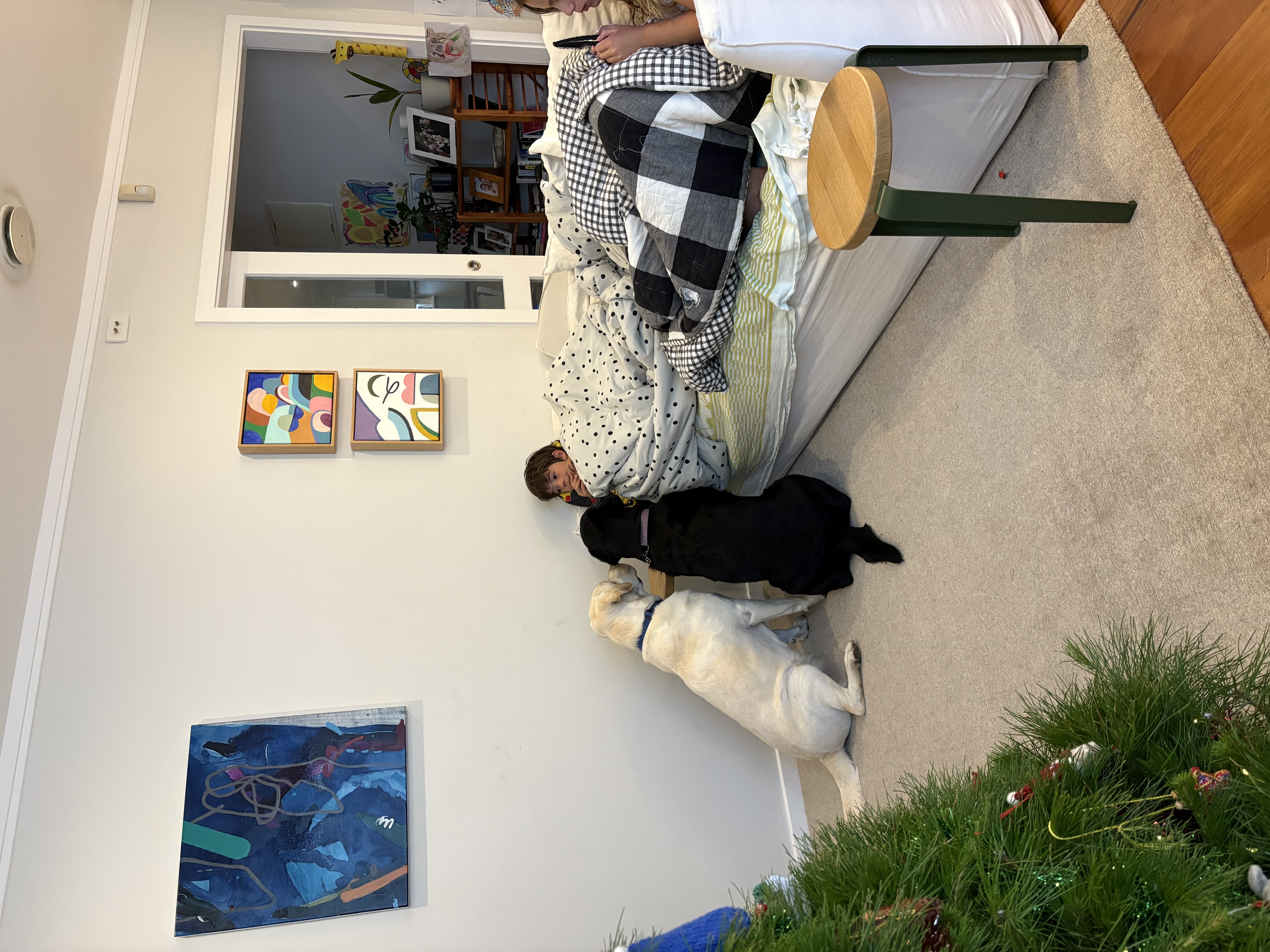 image-14