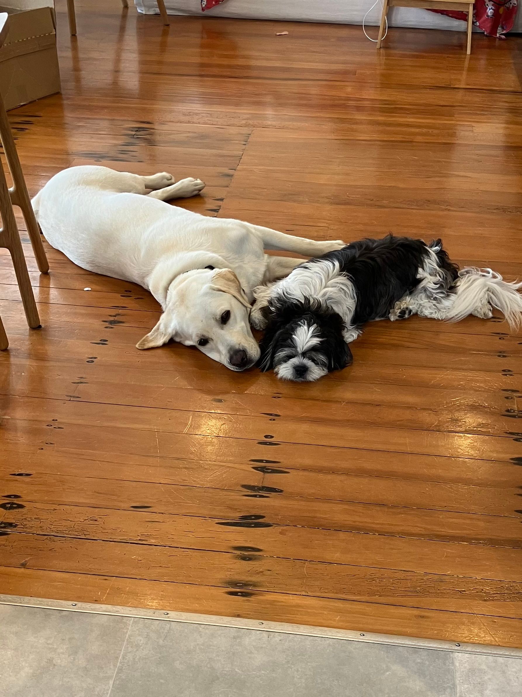 image-13