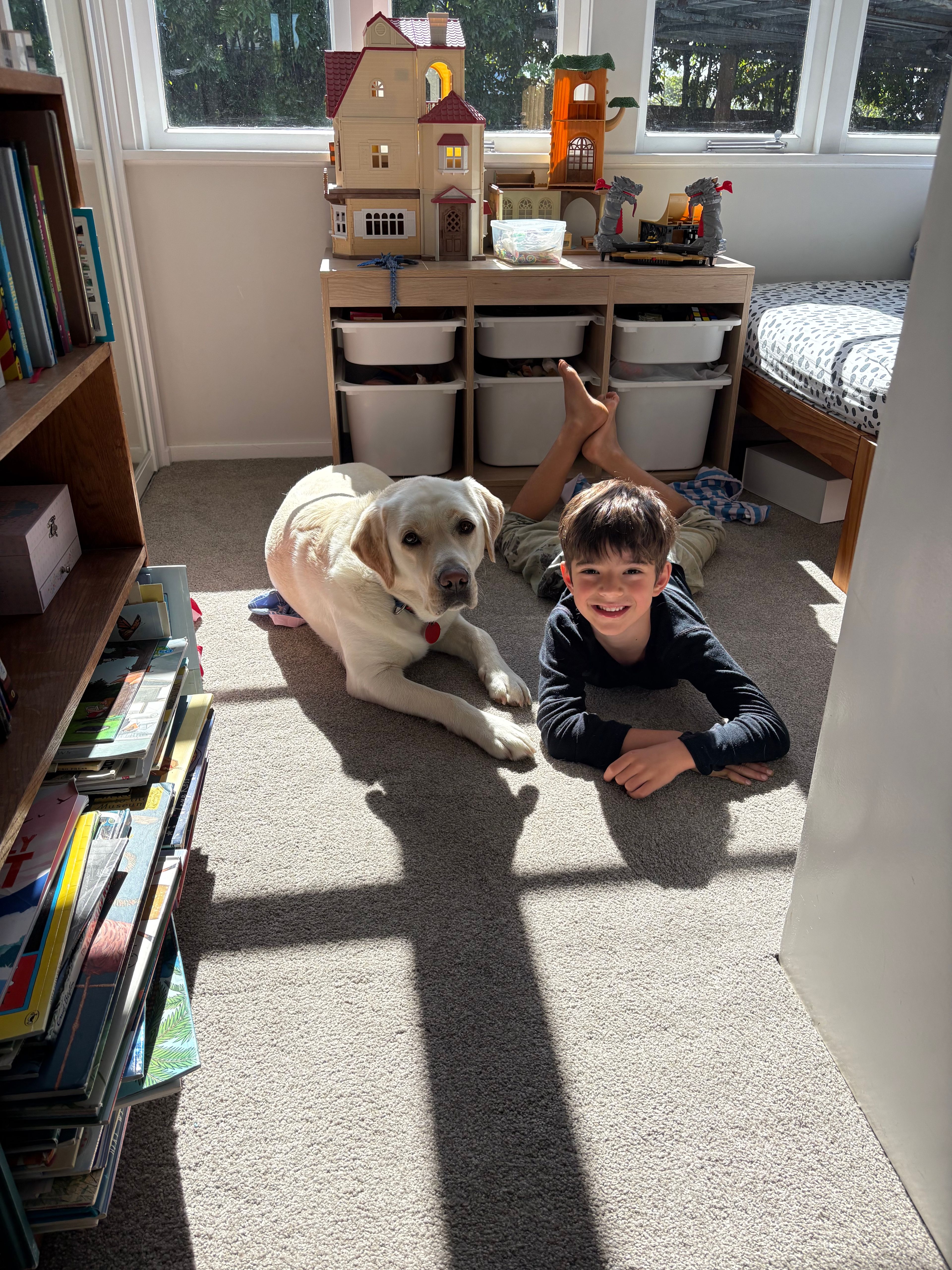 image-6