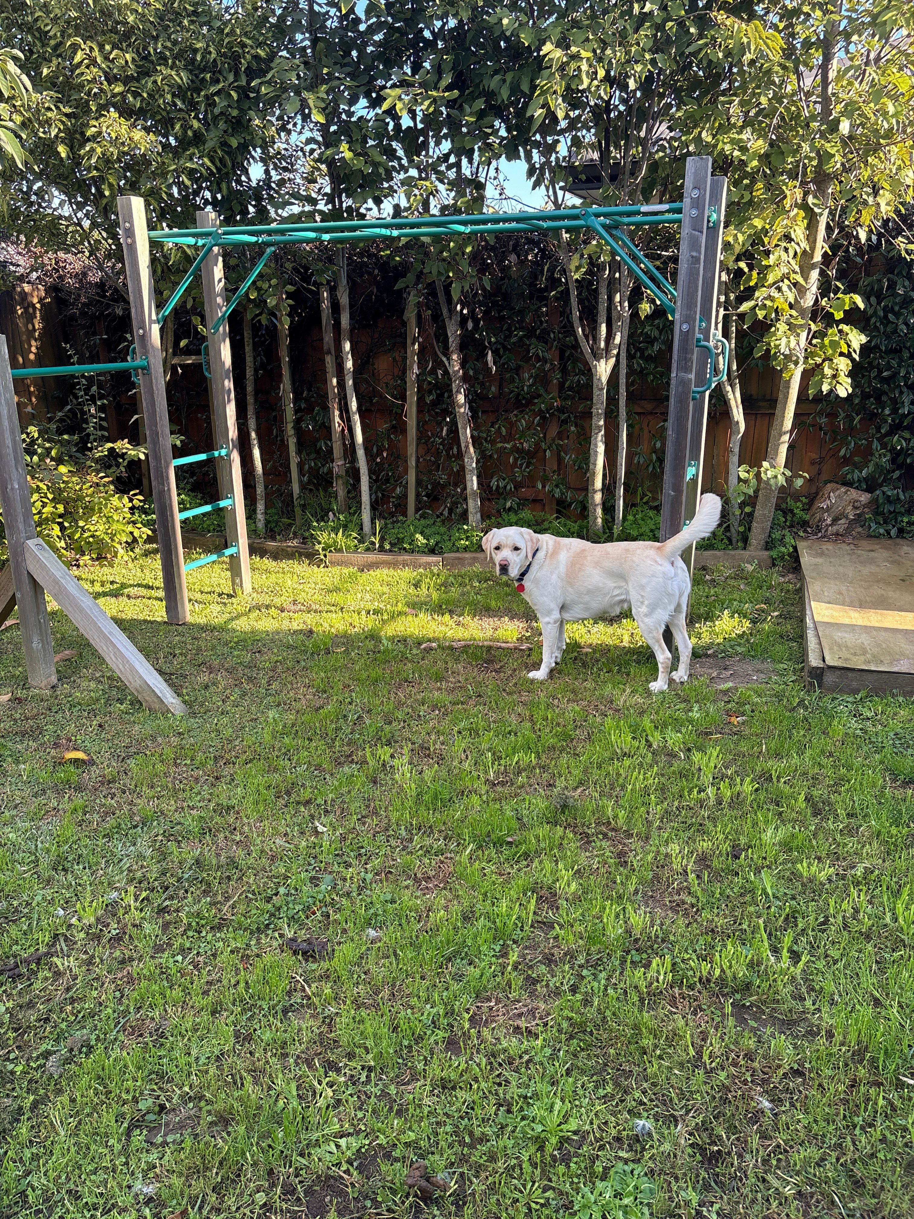 image-9