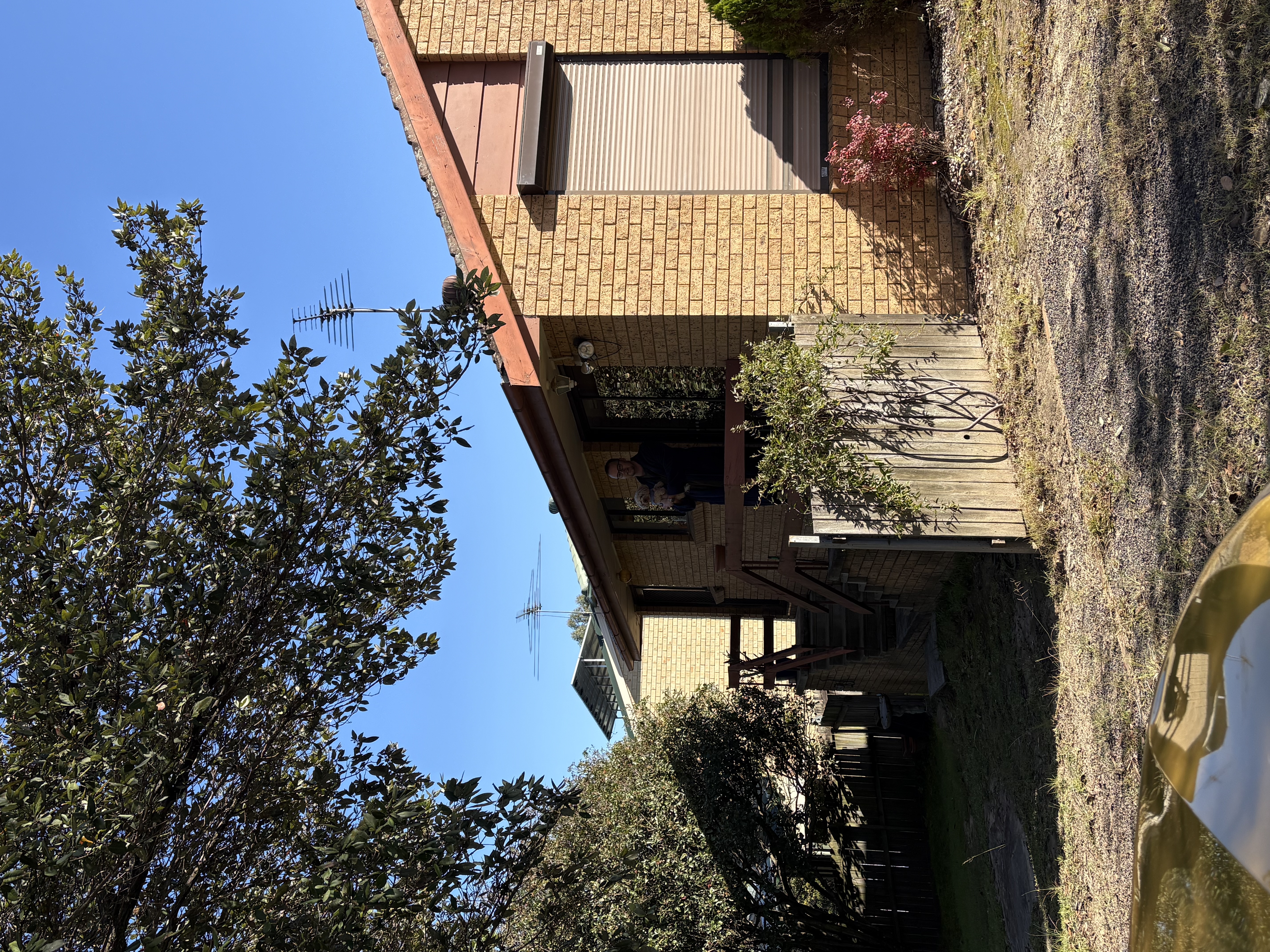 image-19
