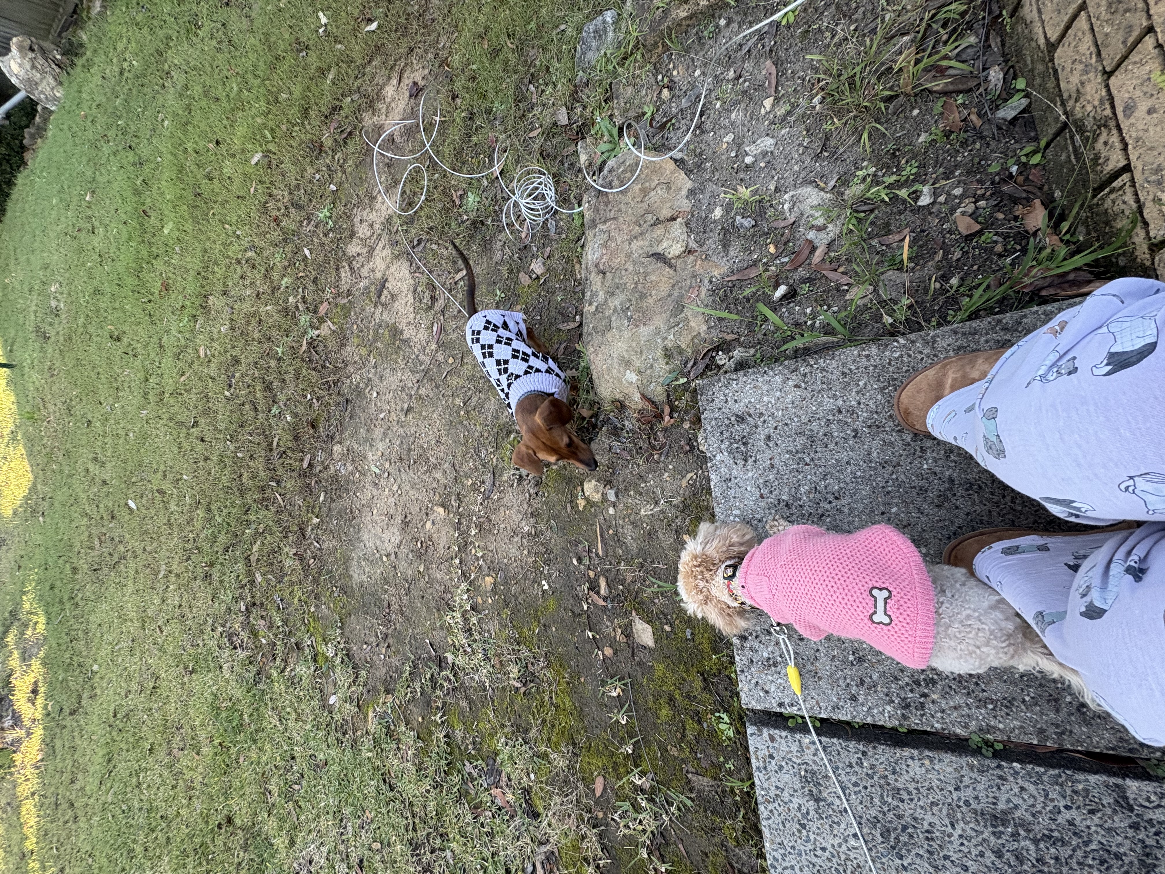 image-13