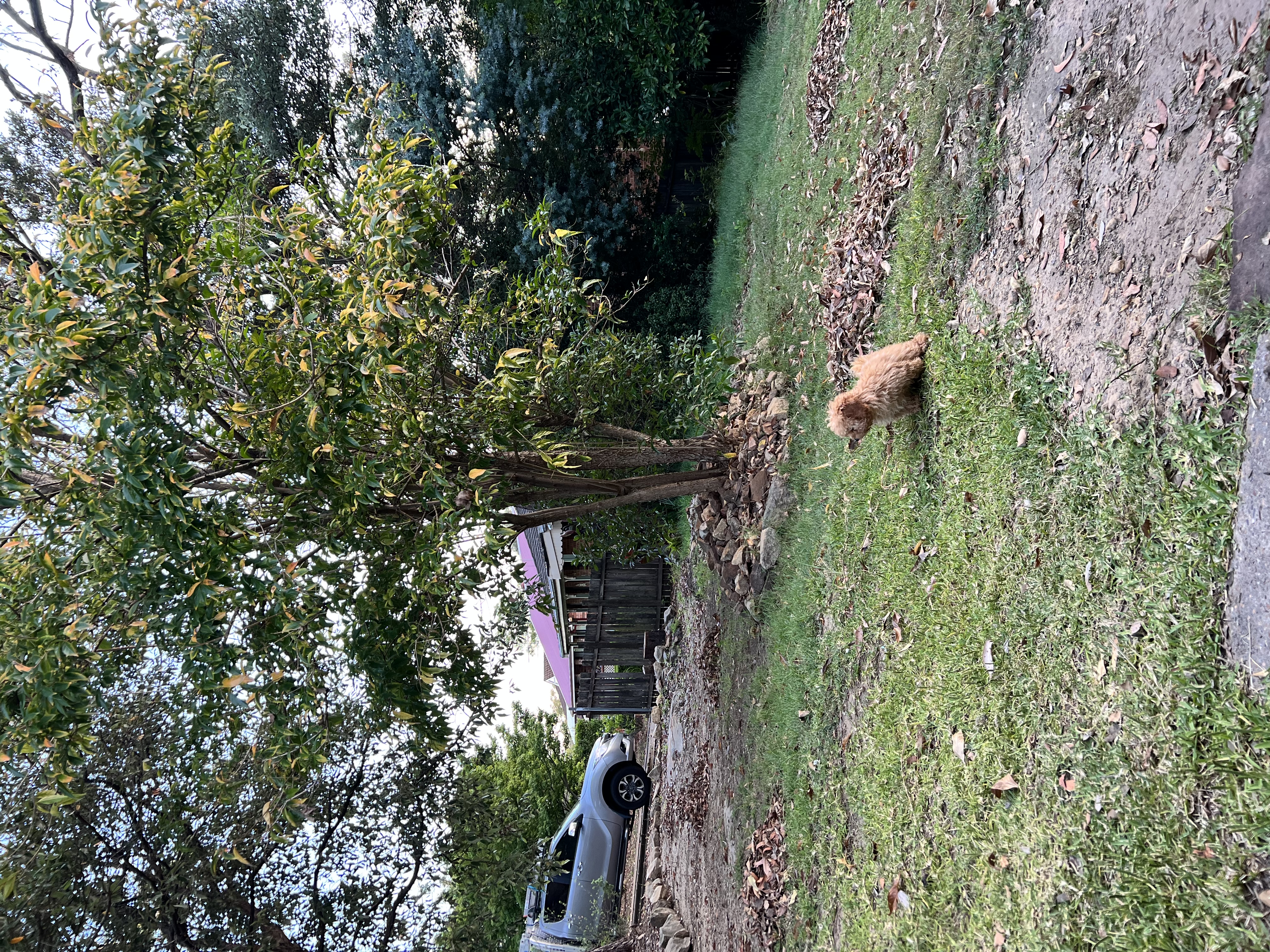 image-21
