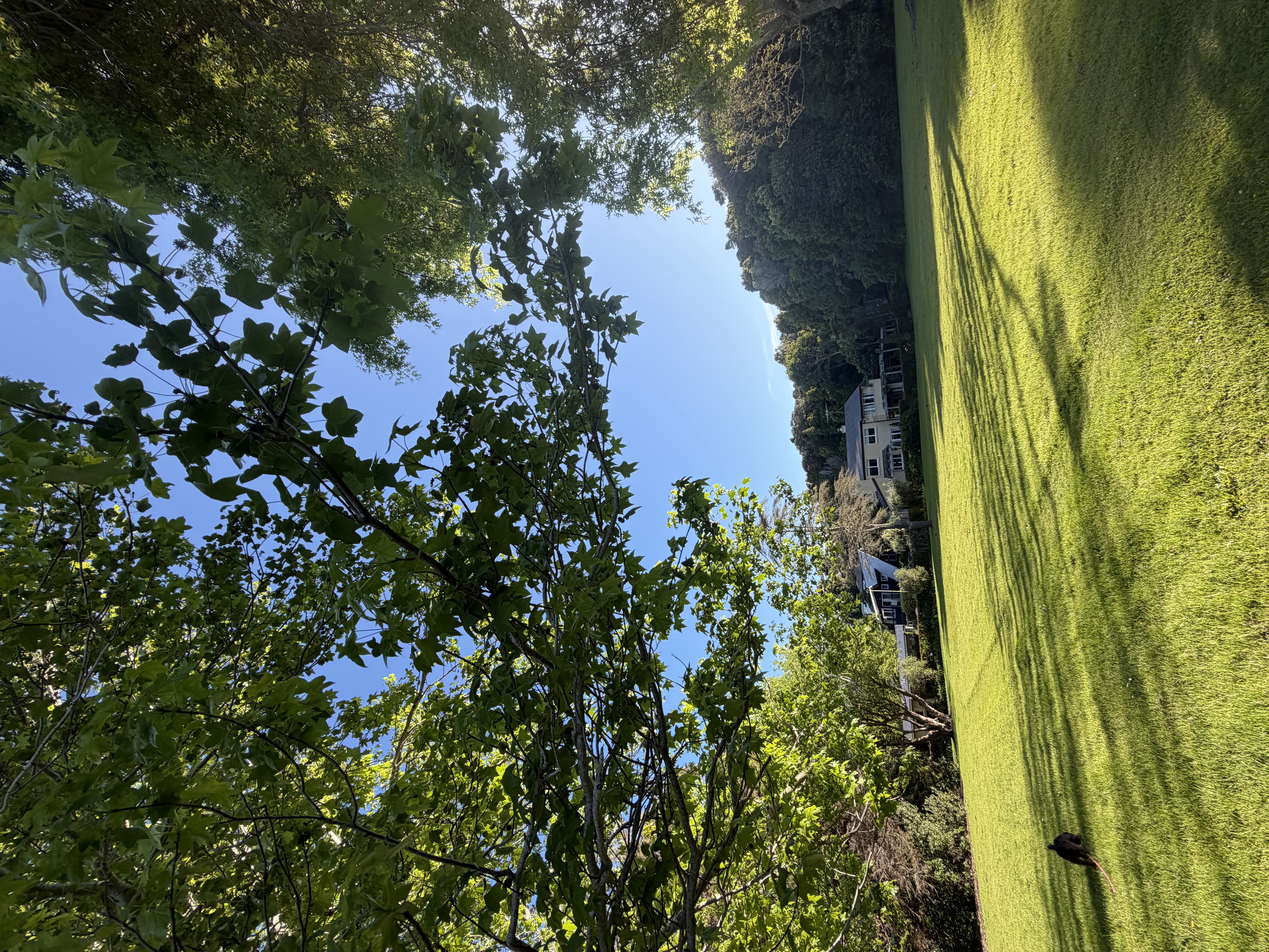 image-0