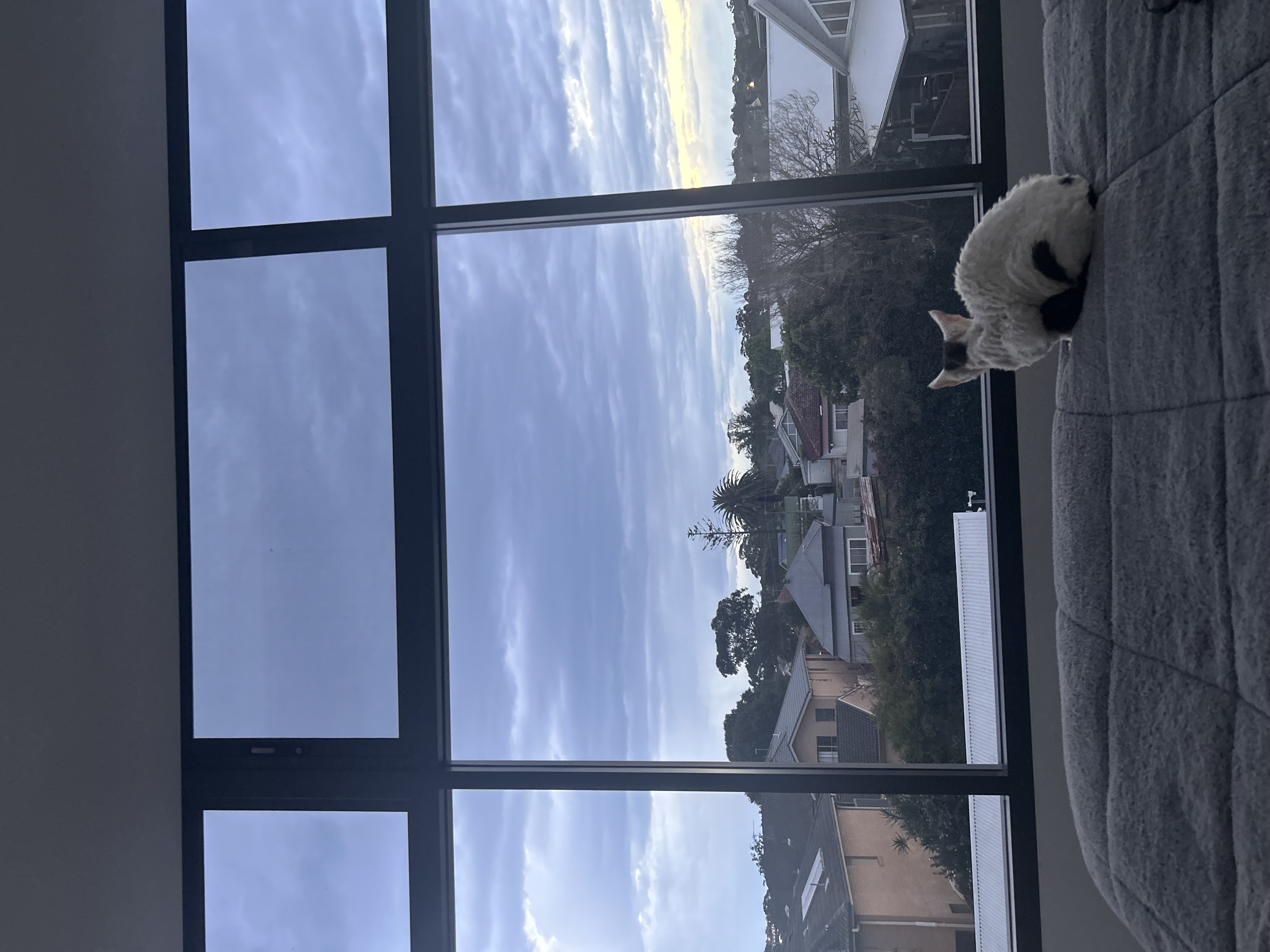 image-15