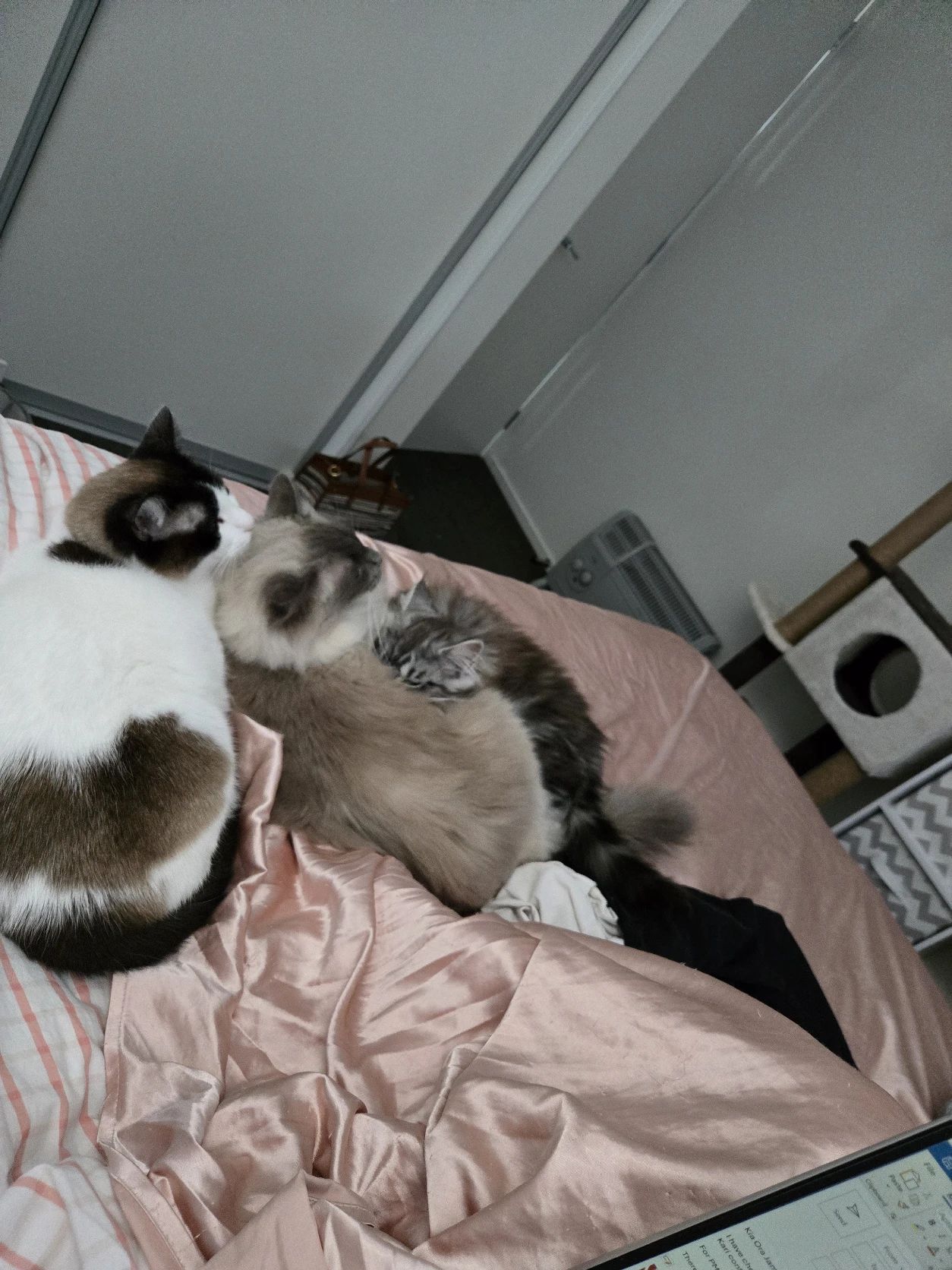 image-14