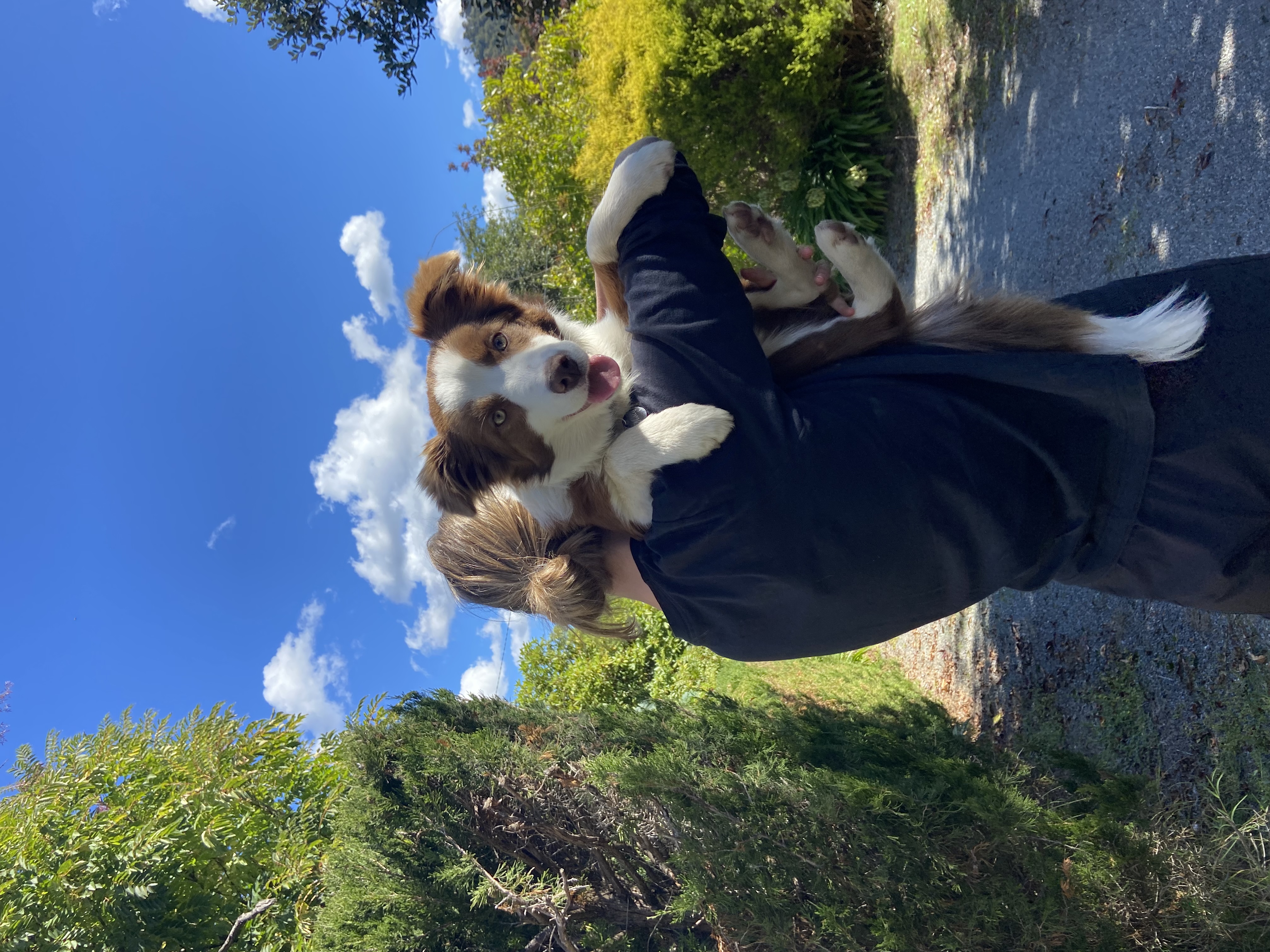 image-11