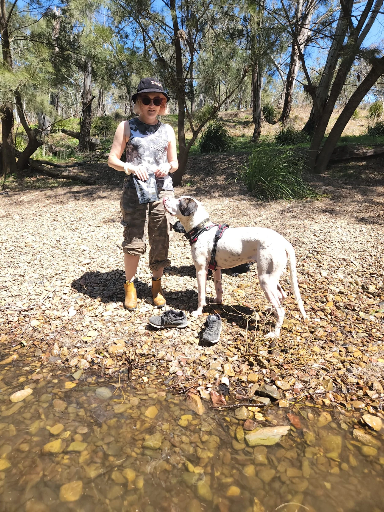image-4