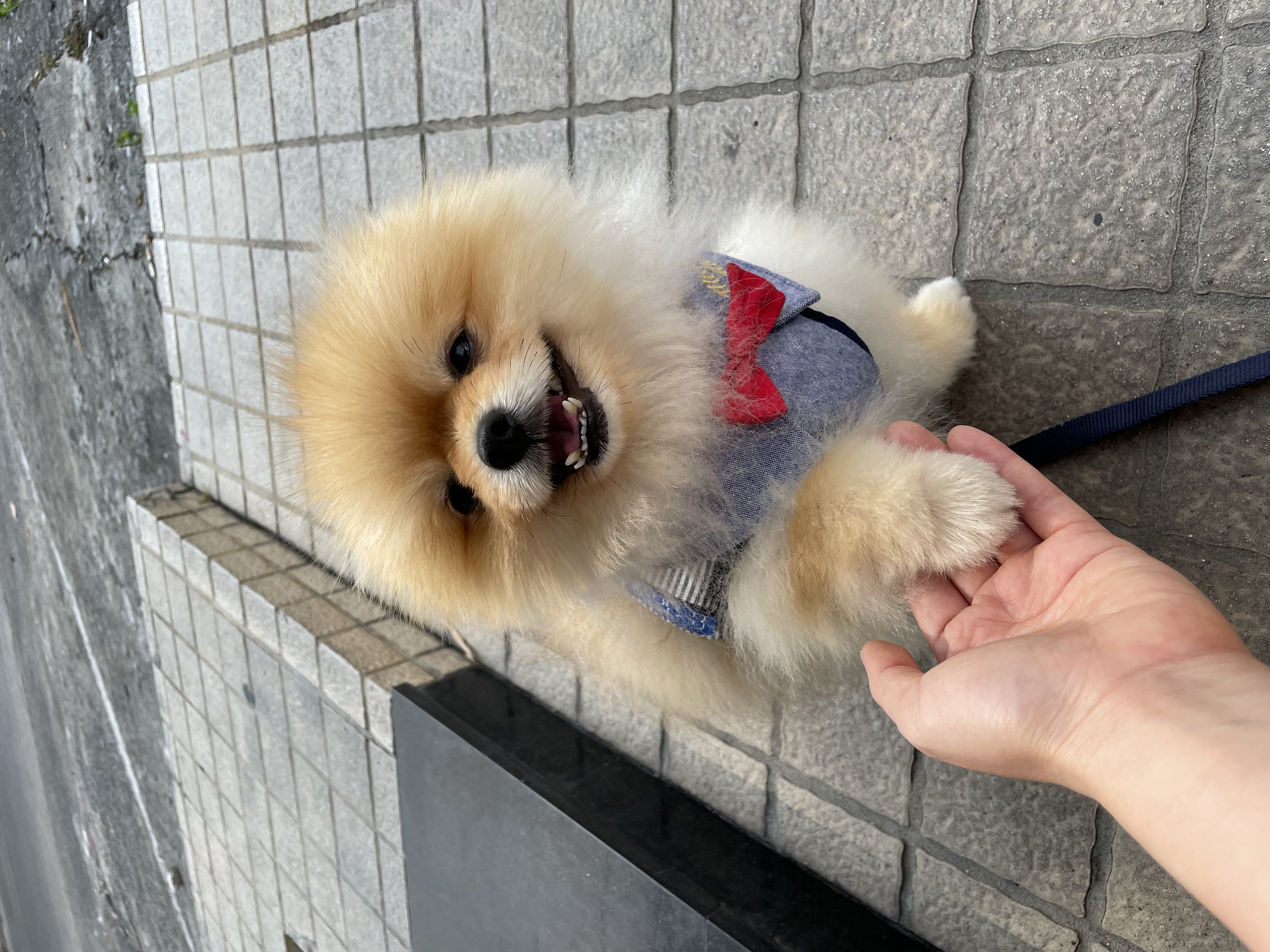 image-7