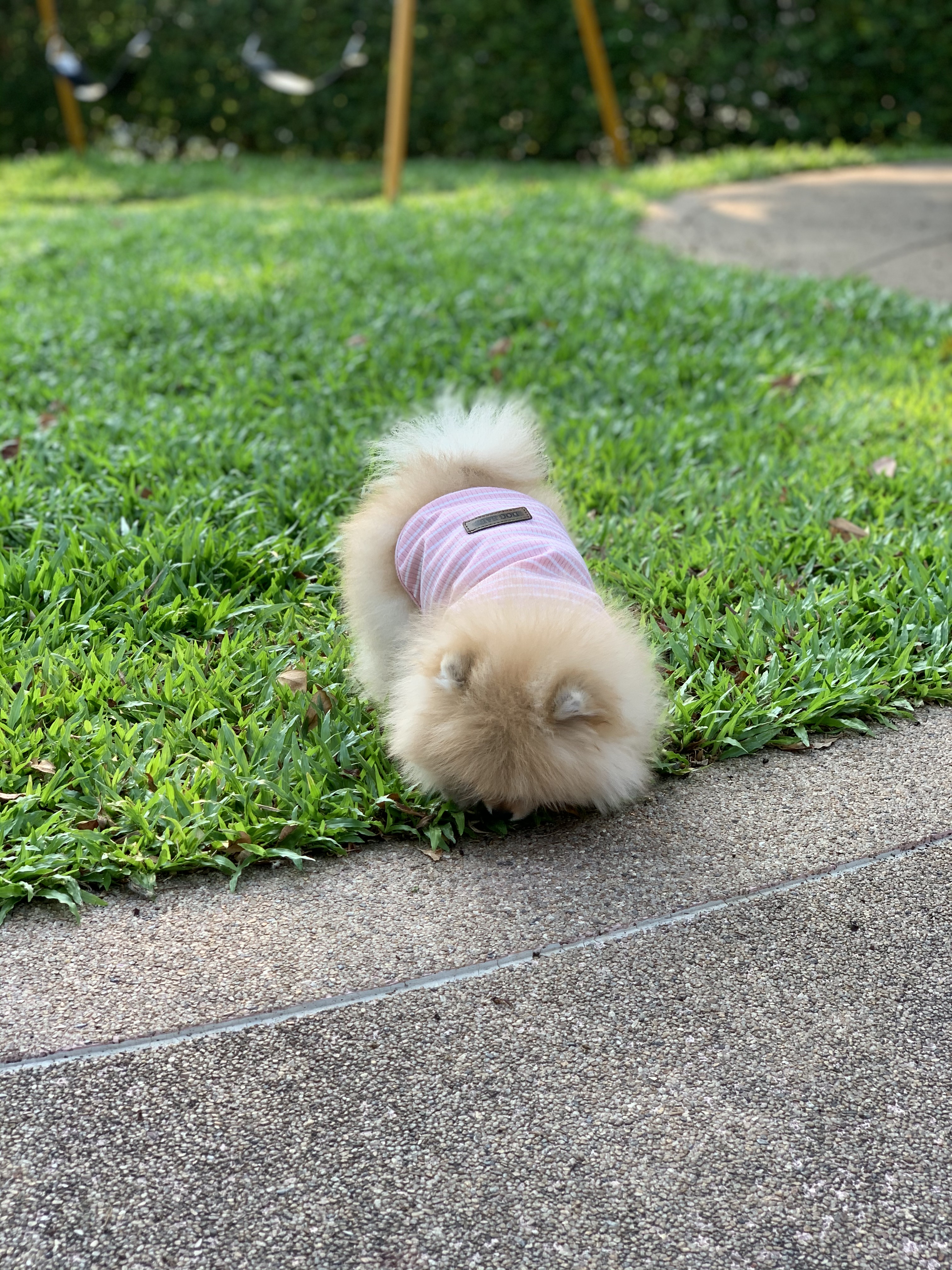 image-10
