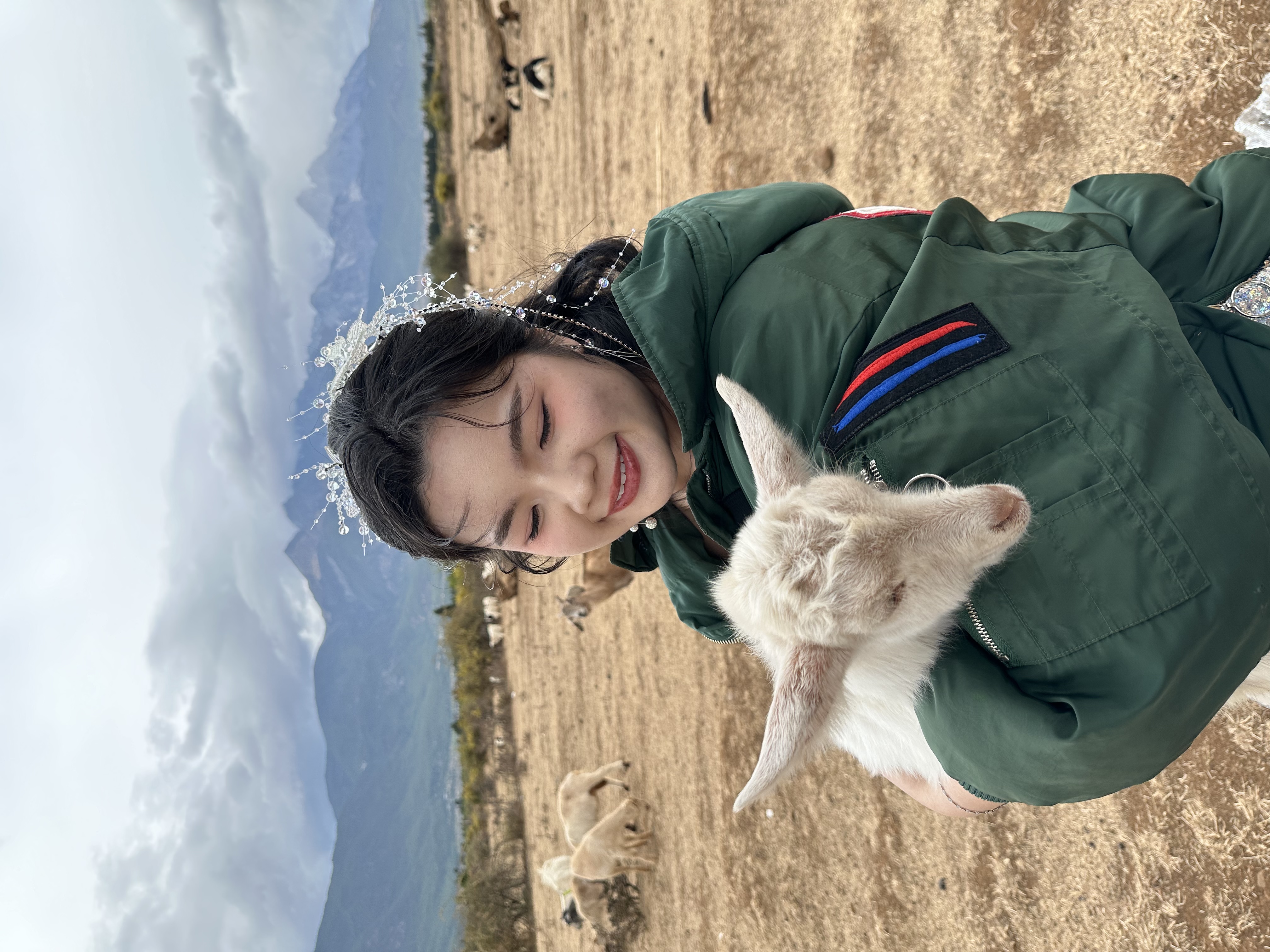 image-5
