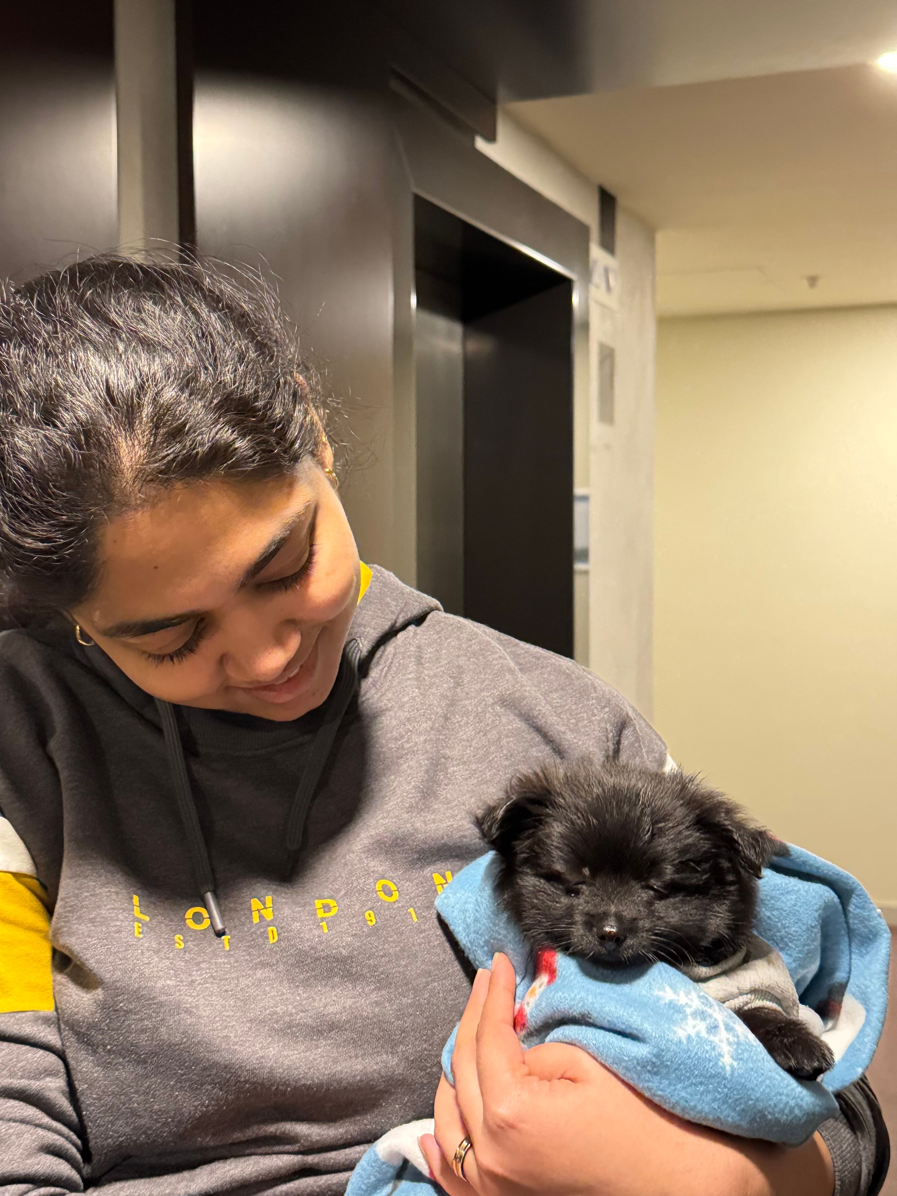 image-4