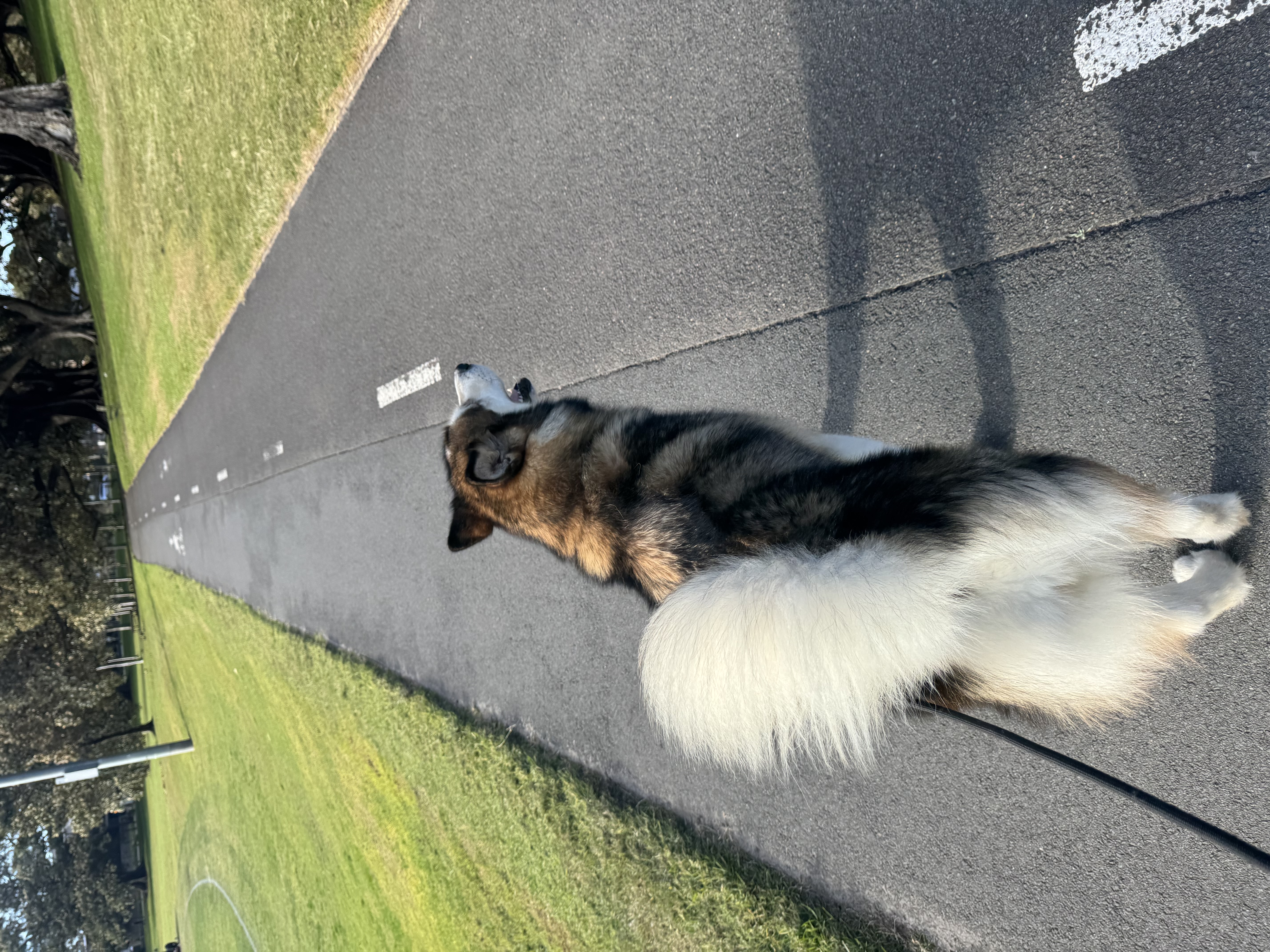 image-9