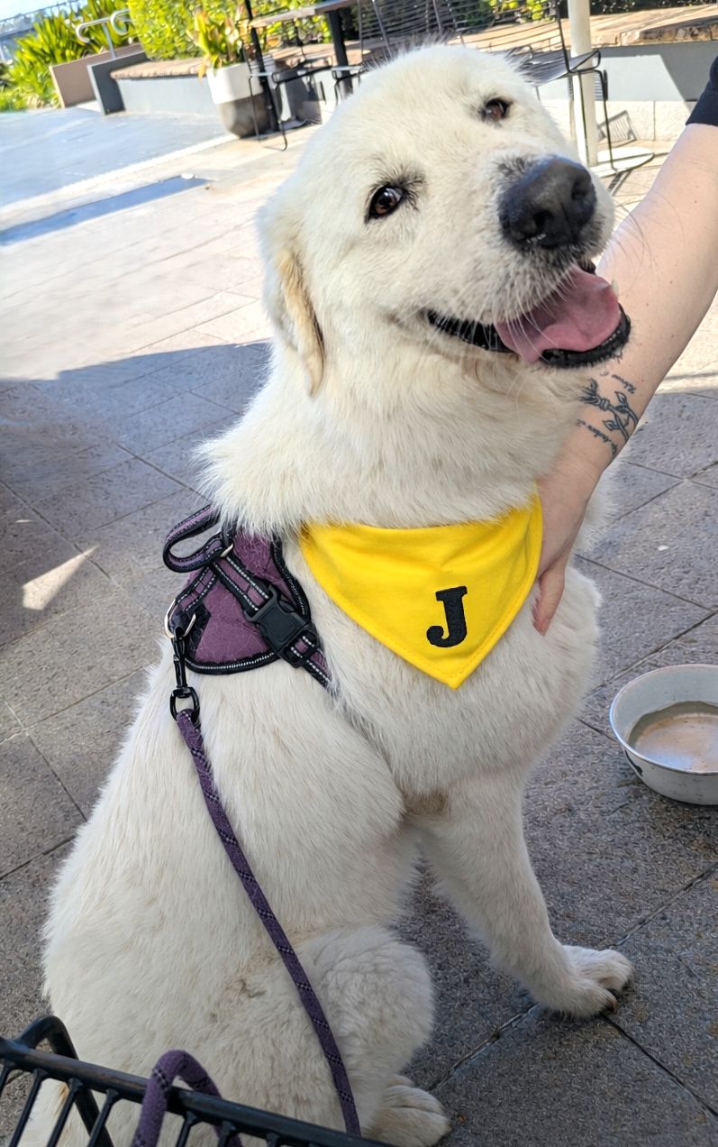 image-5