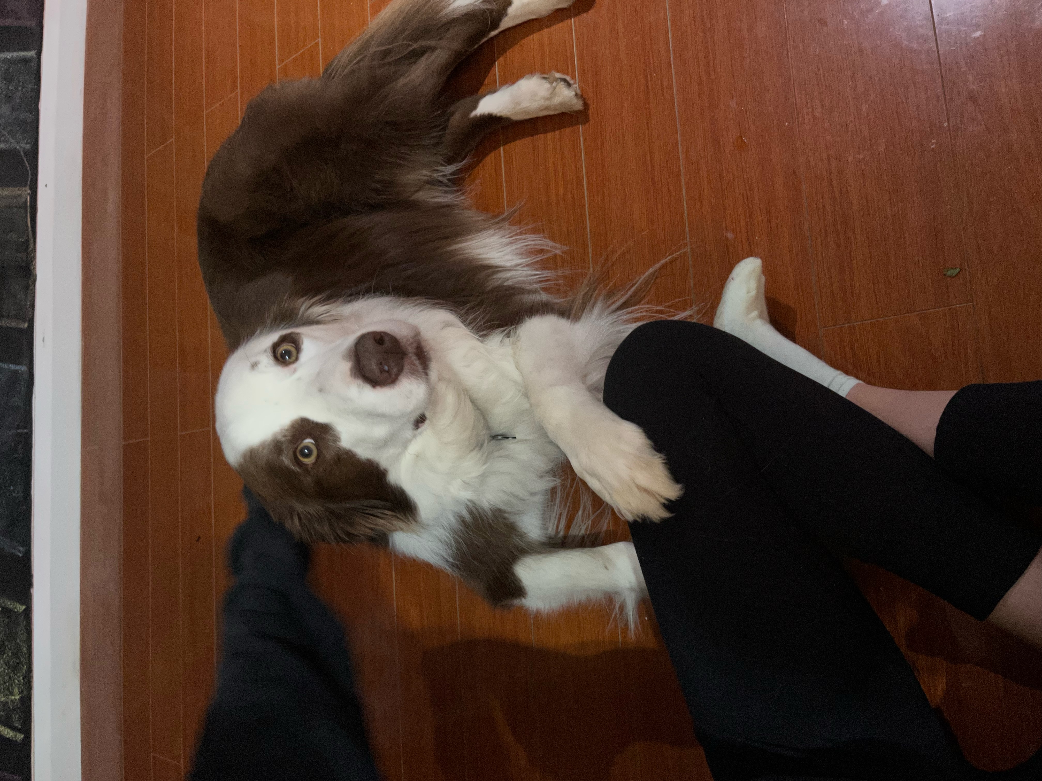 image-9