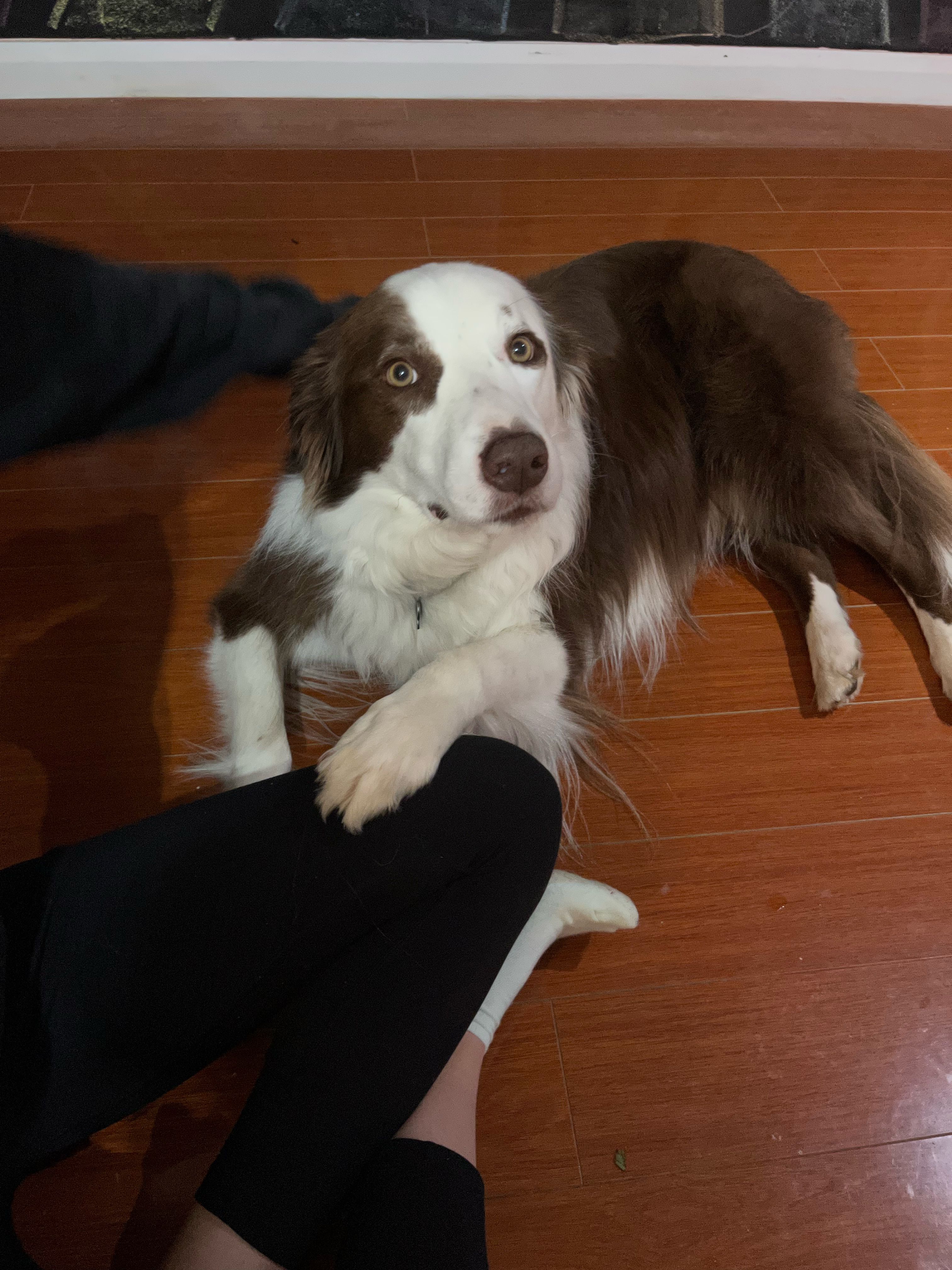 image-9