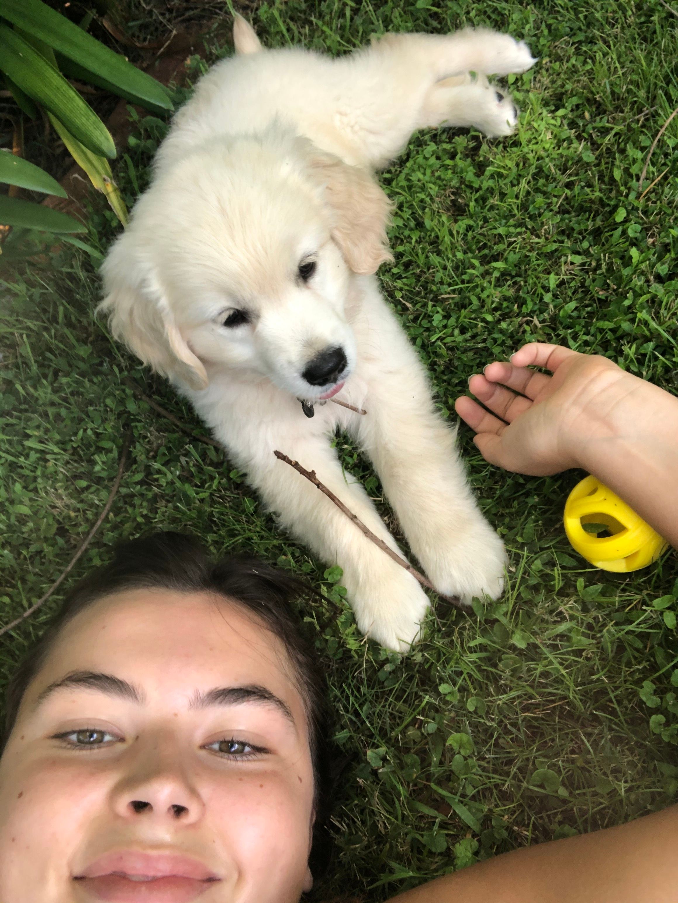 image-0