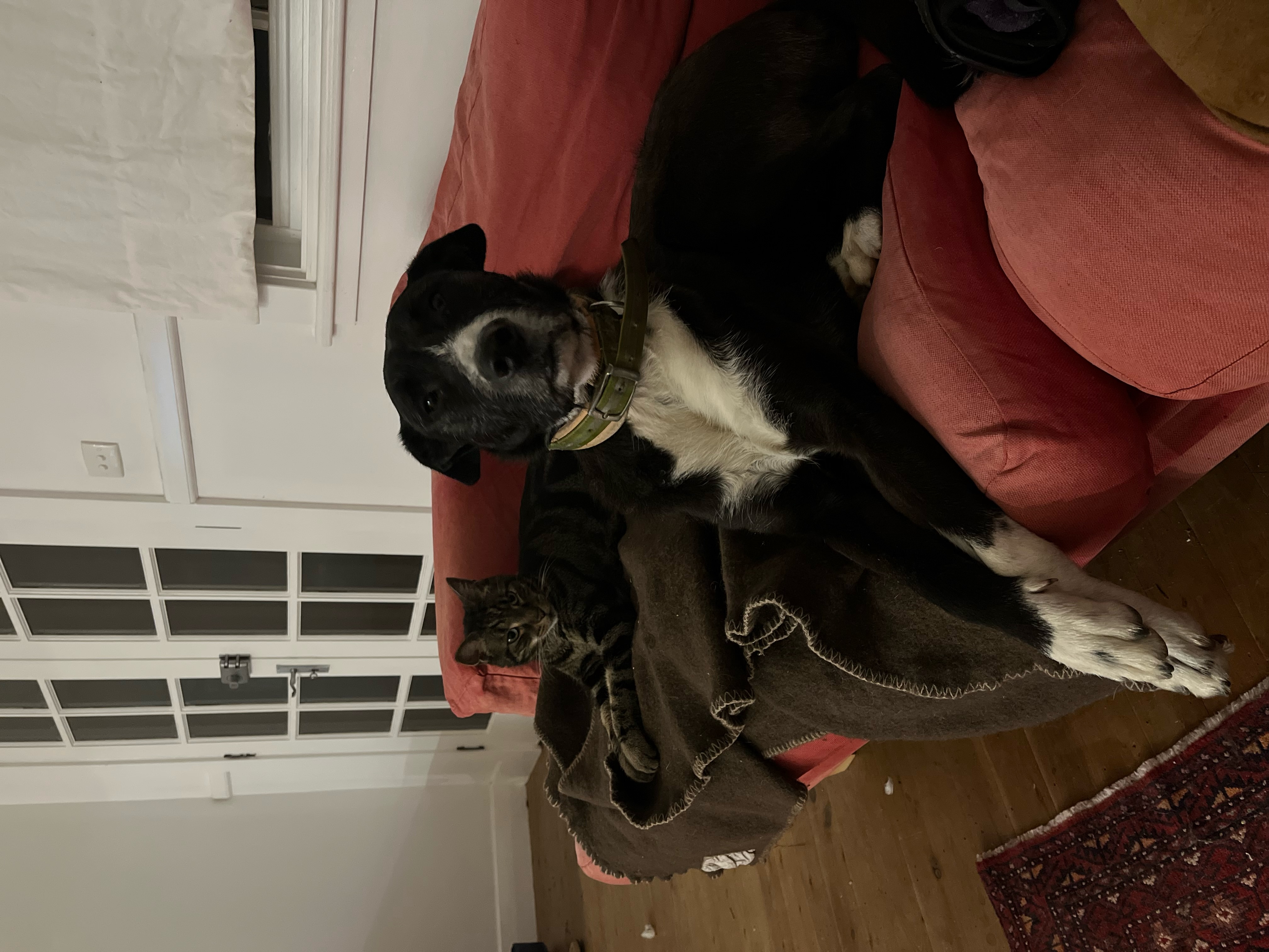 image-10