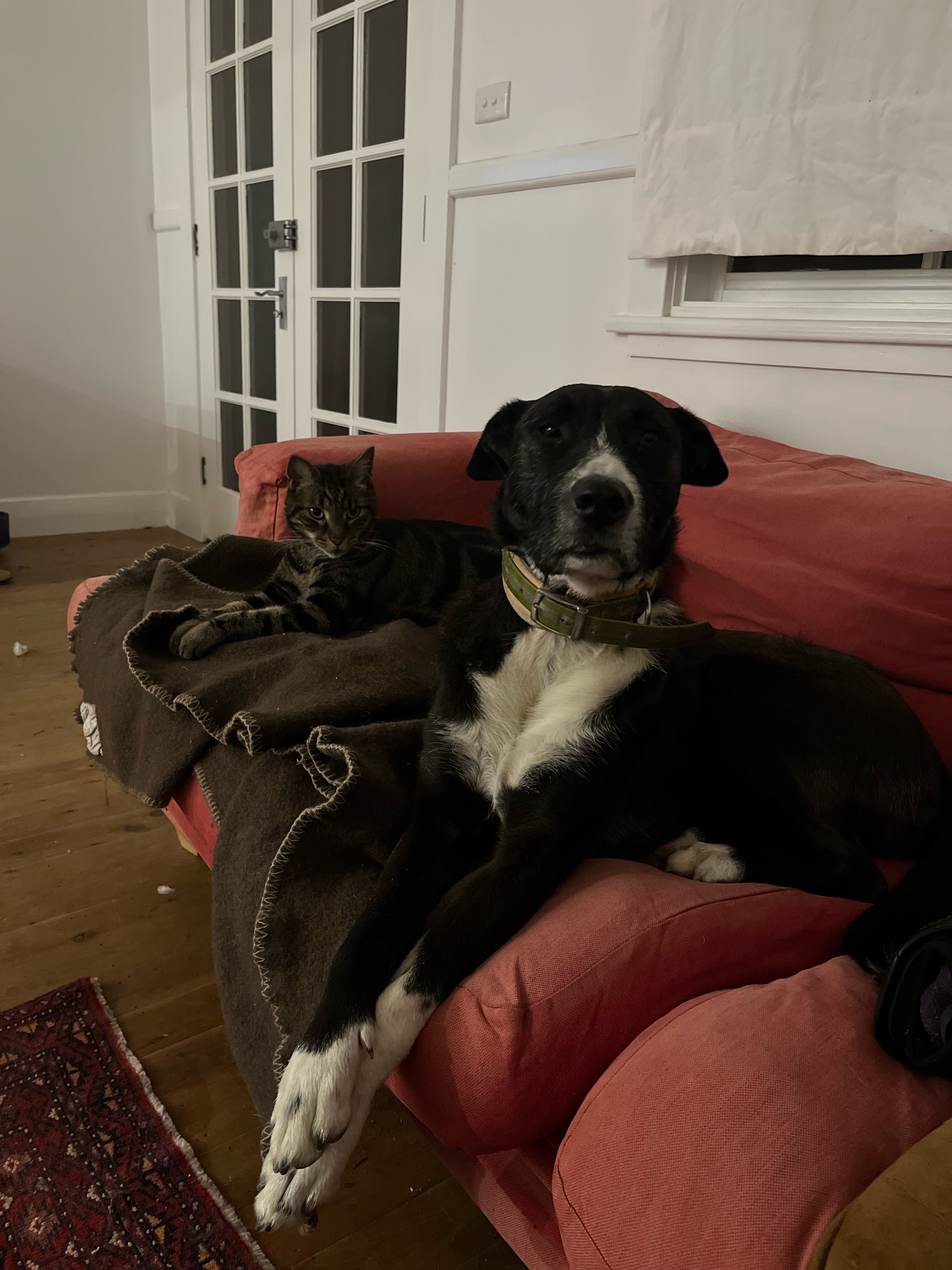 image-10
