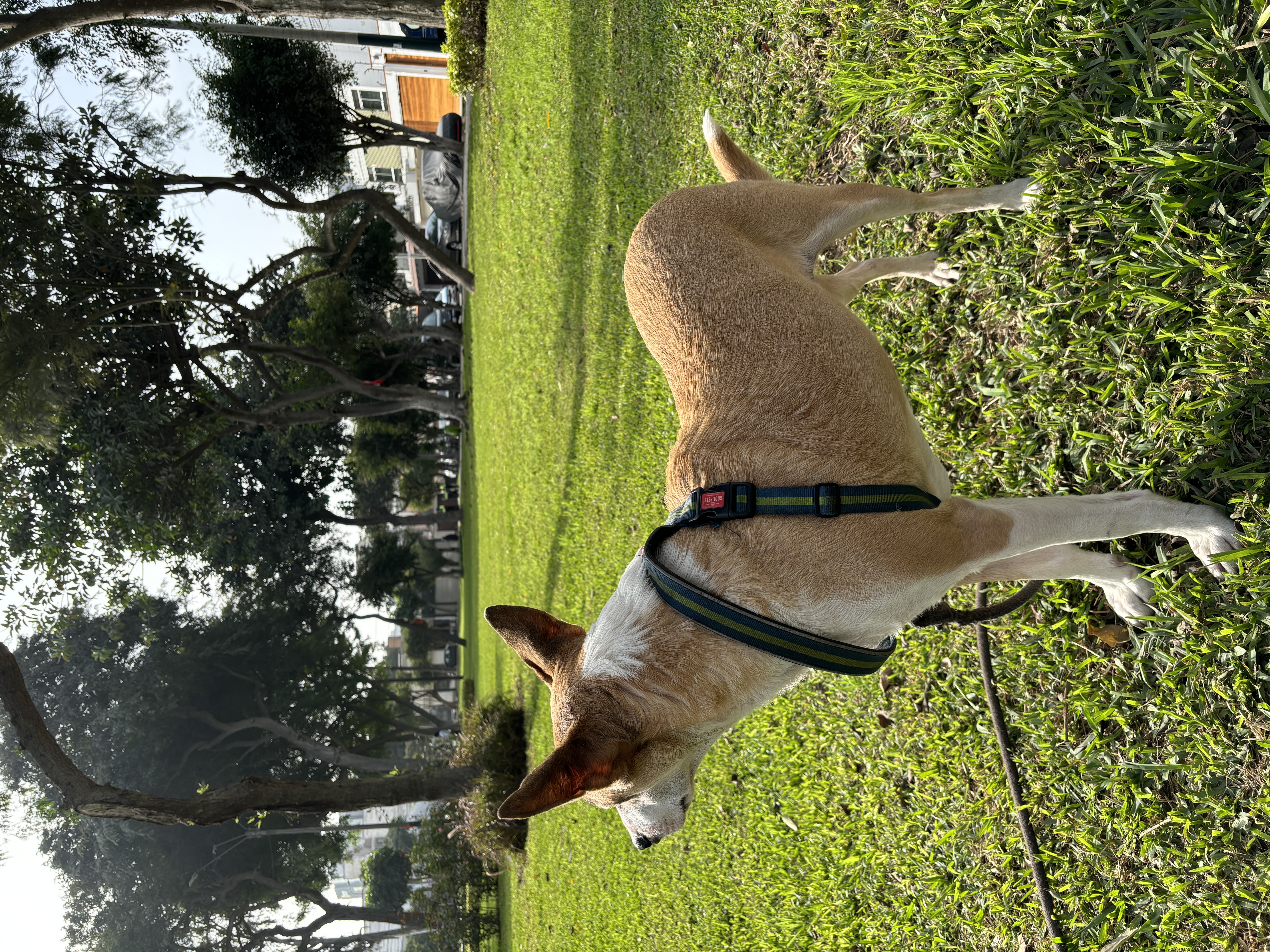 image-7