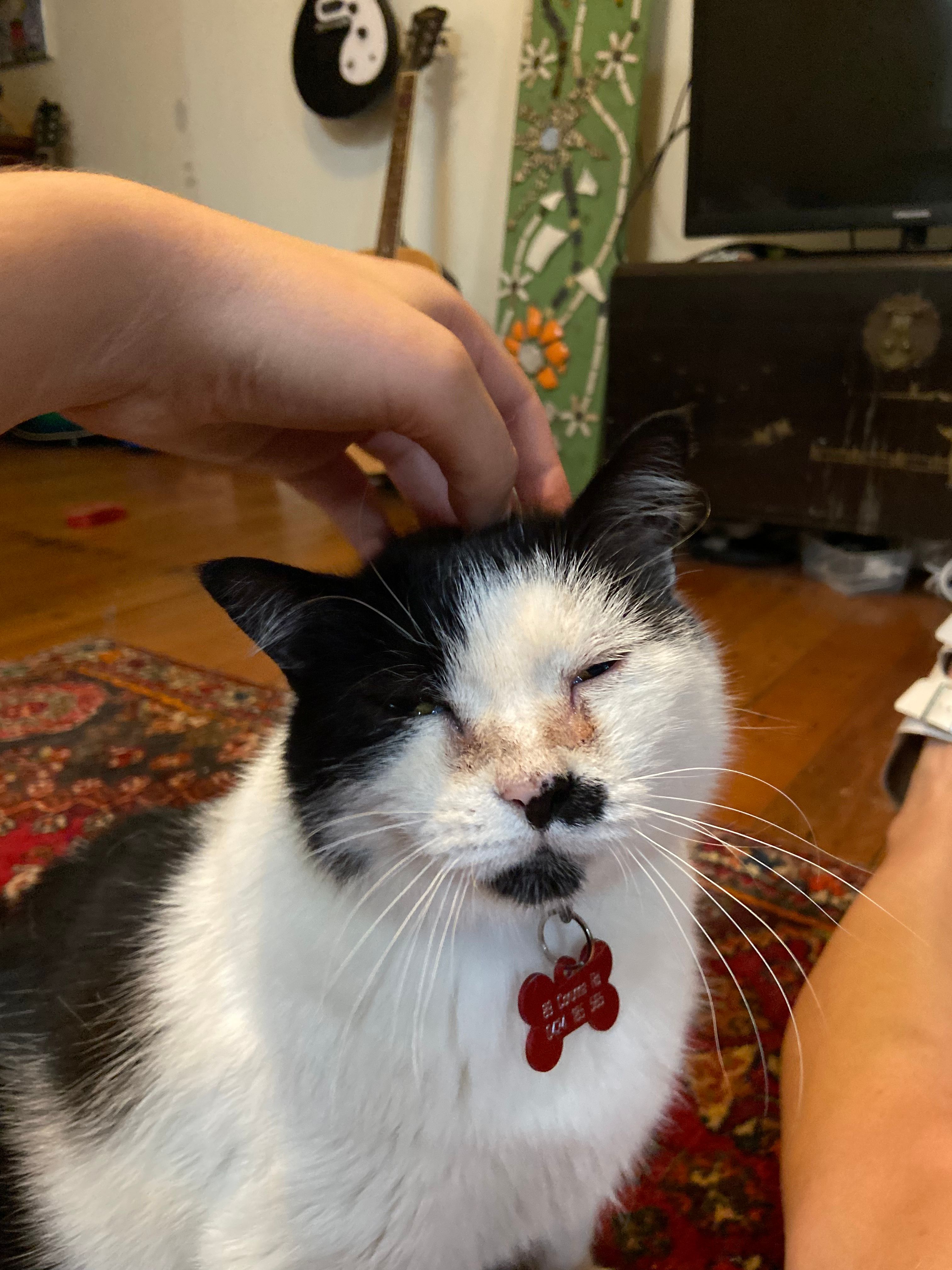 image-10