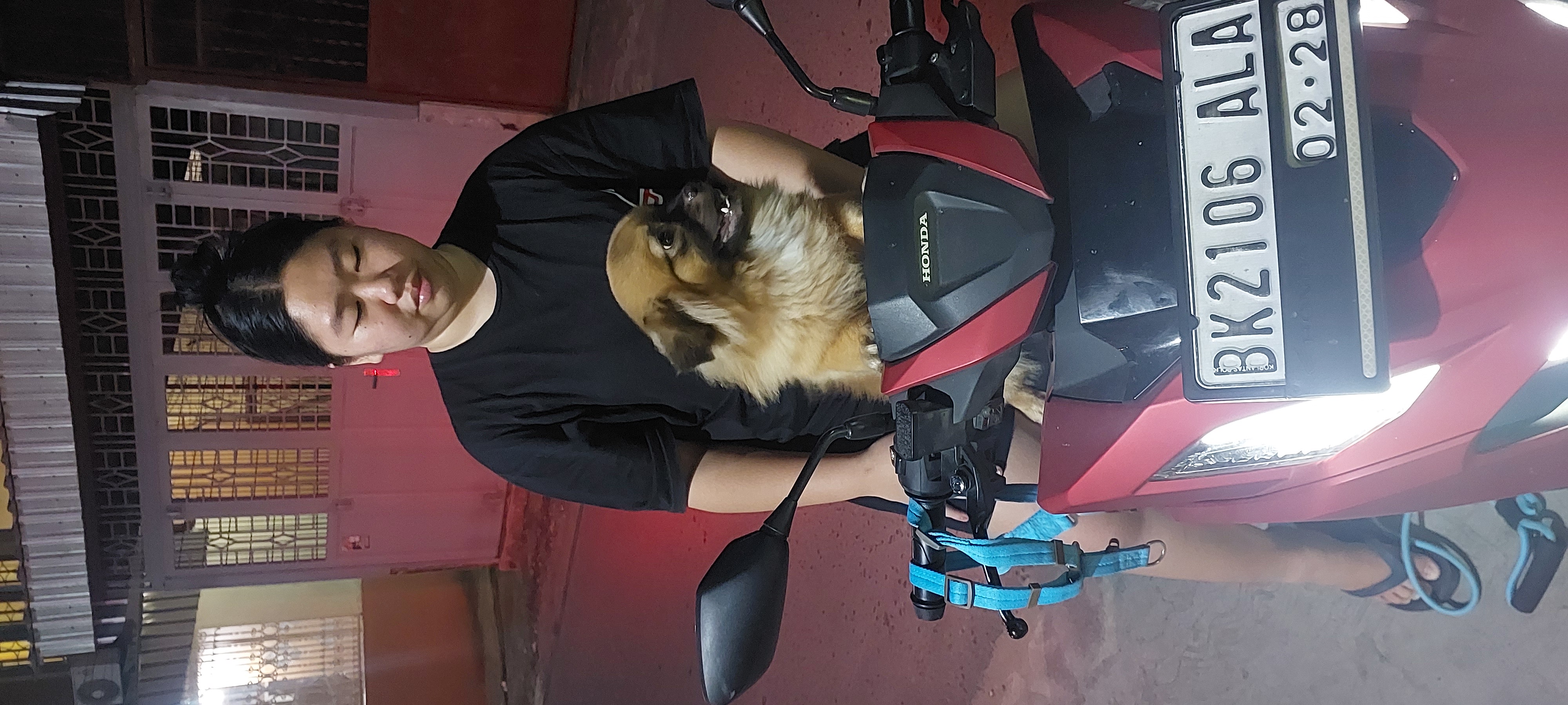 image-11