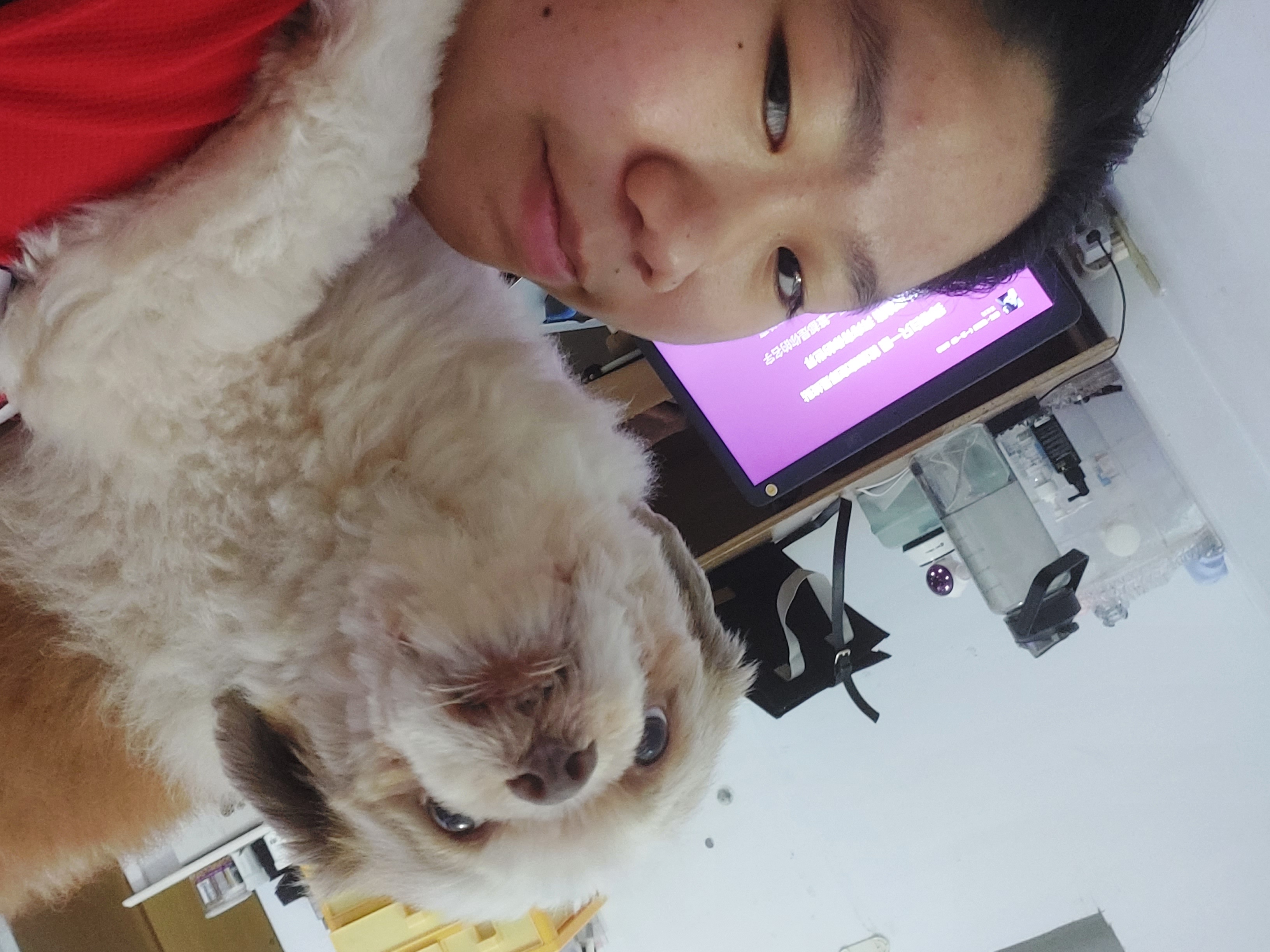 image-12
