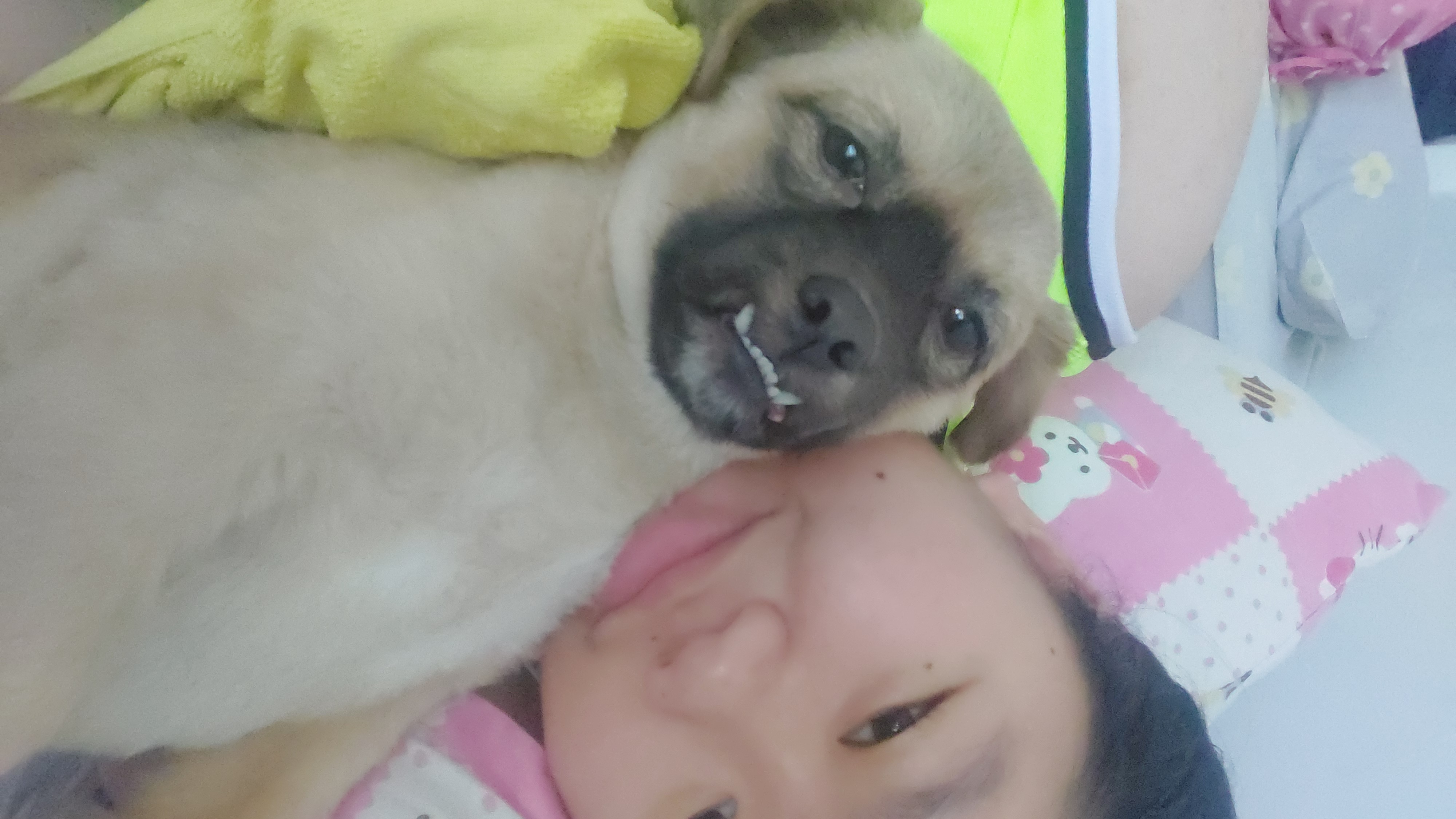 image-20
