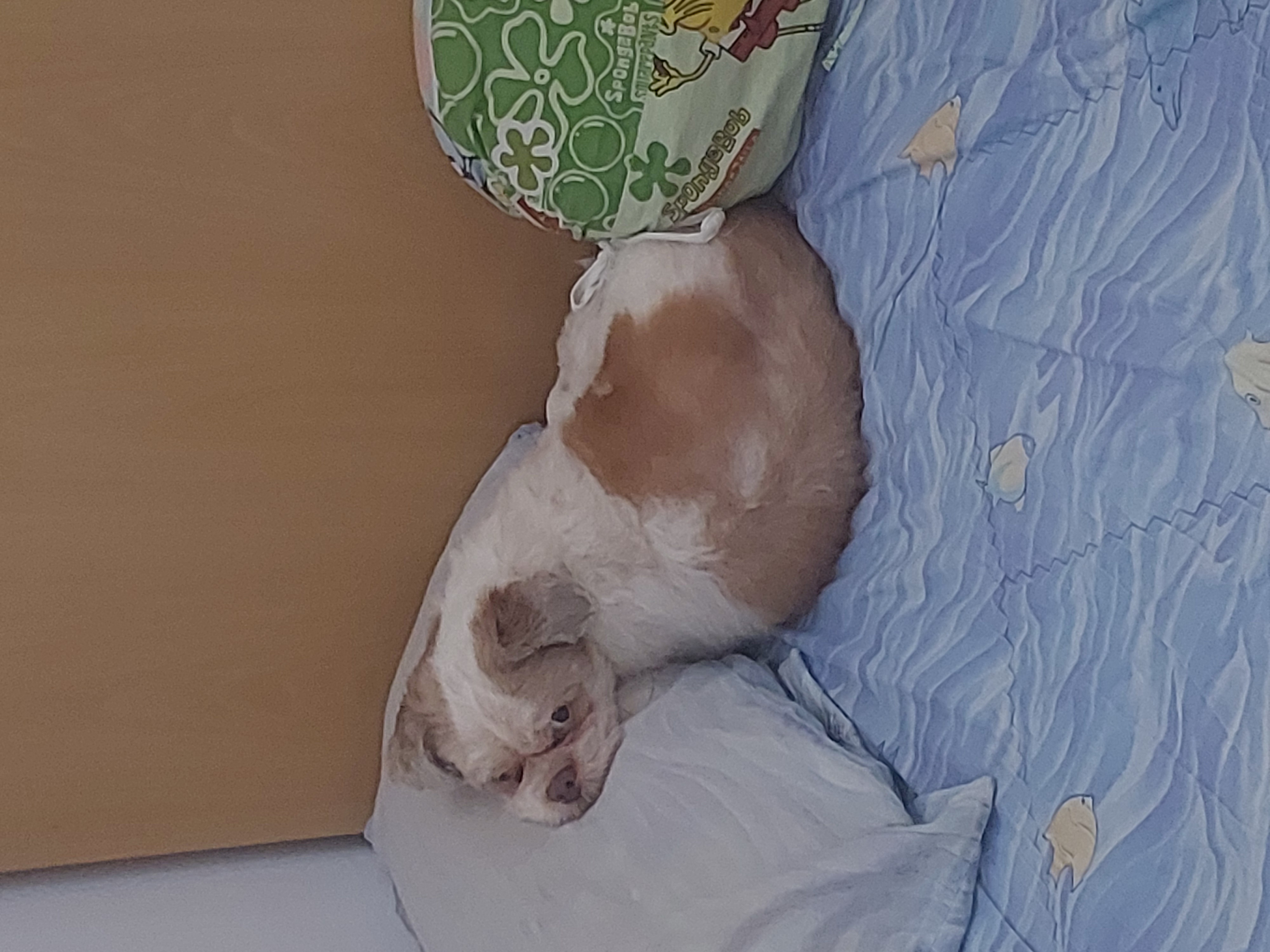 image-3