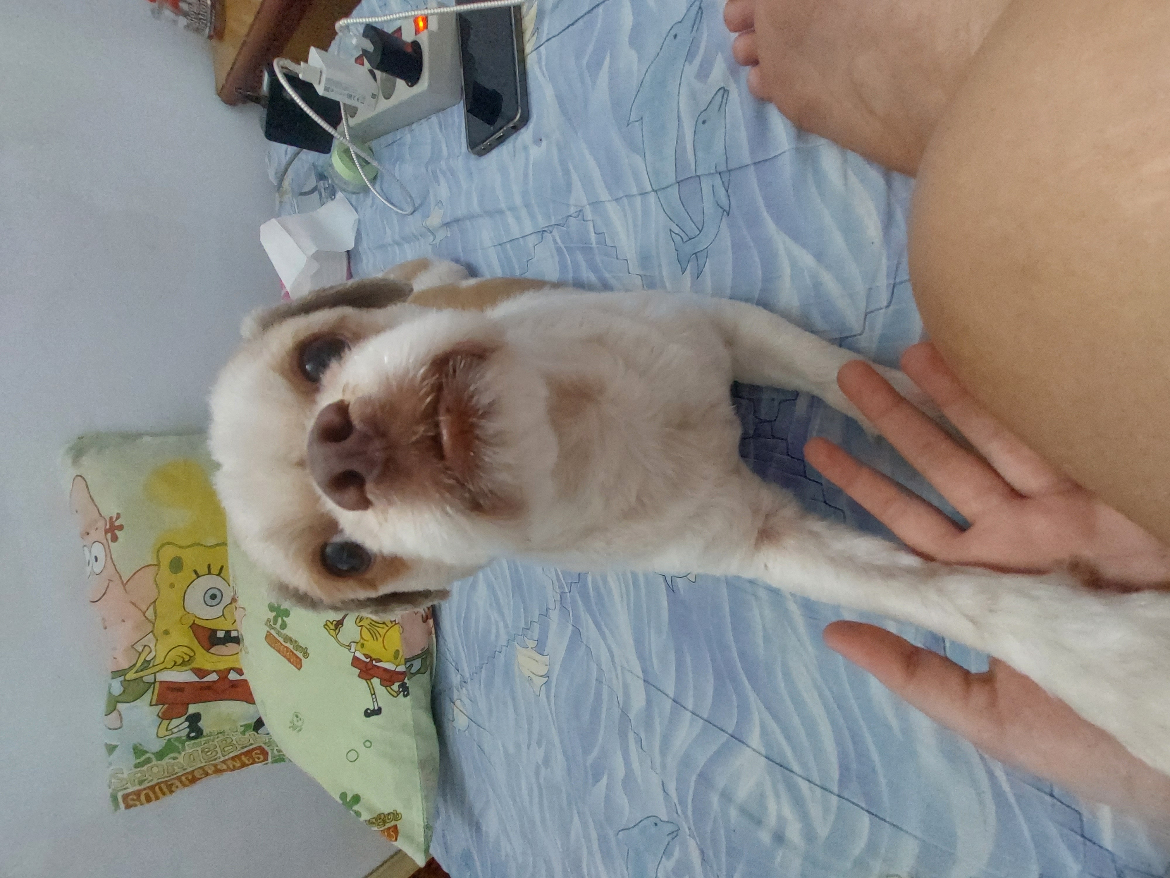 image-15