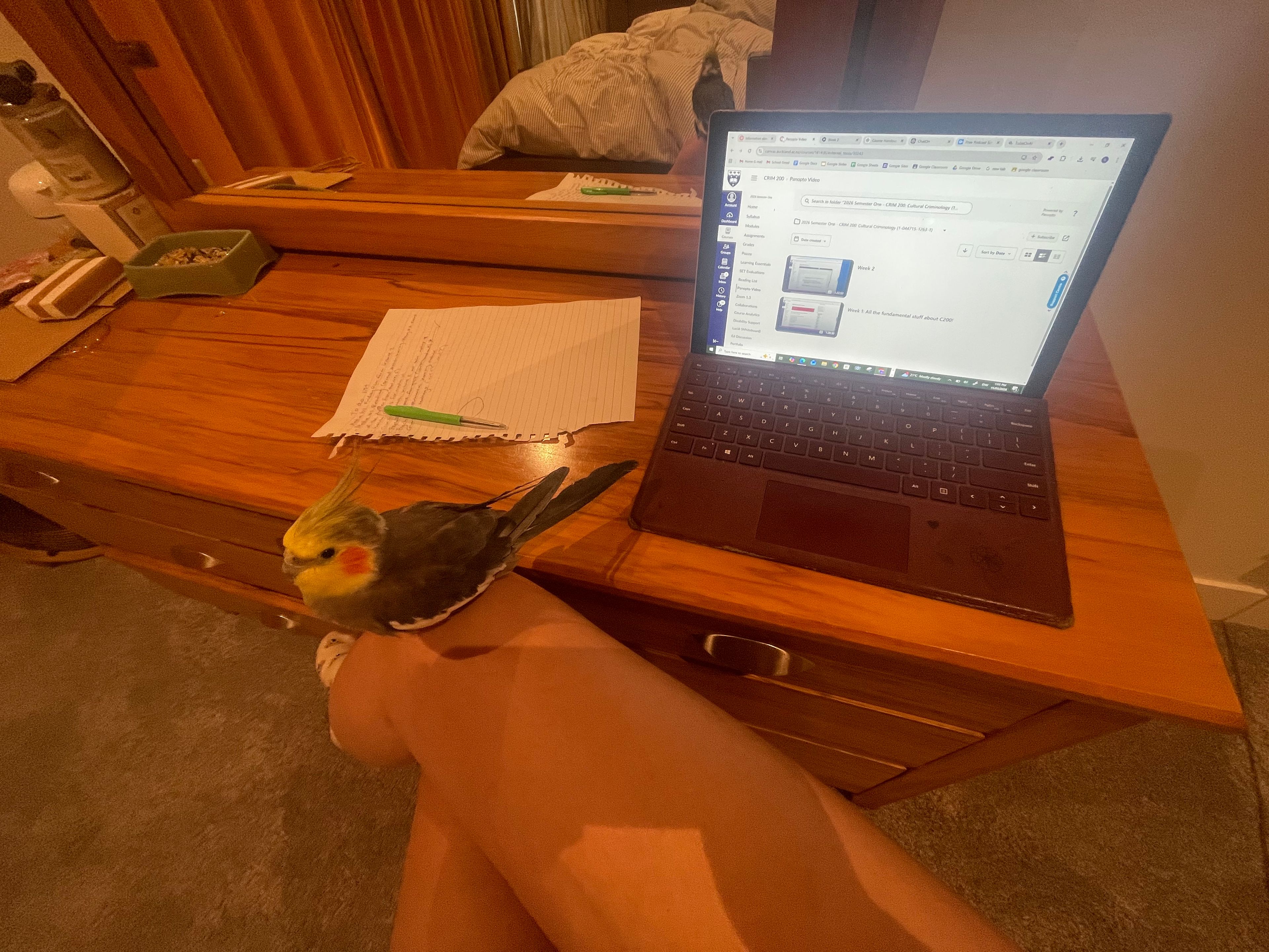 image-3