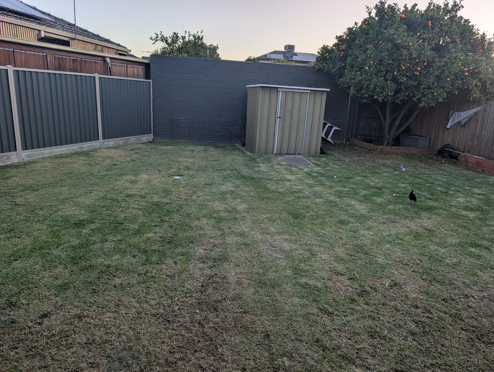 image-16