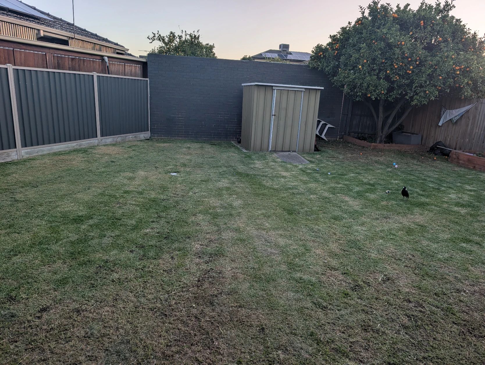 image-16