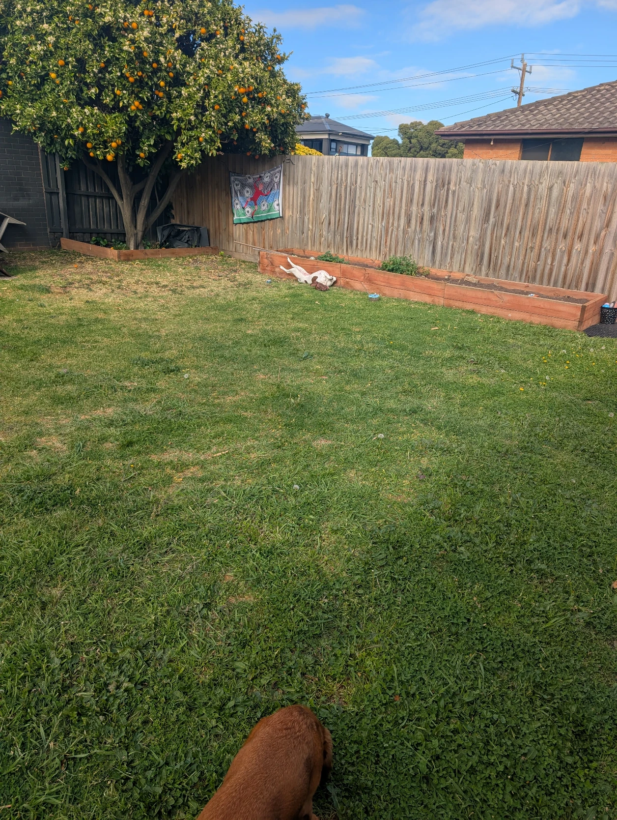 image-14