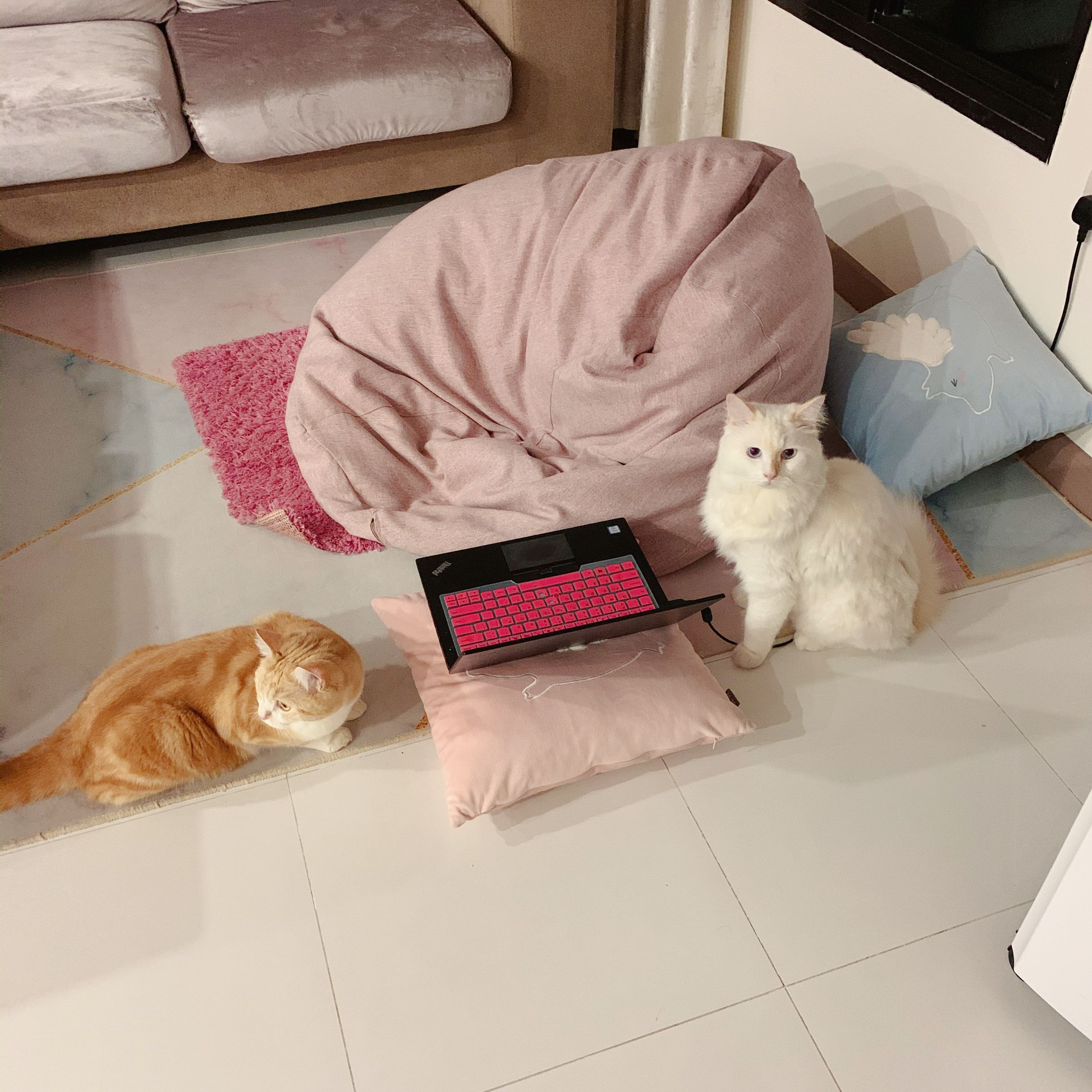 image-8