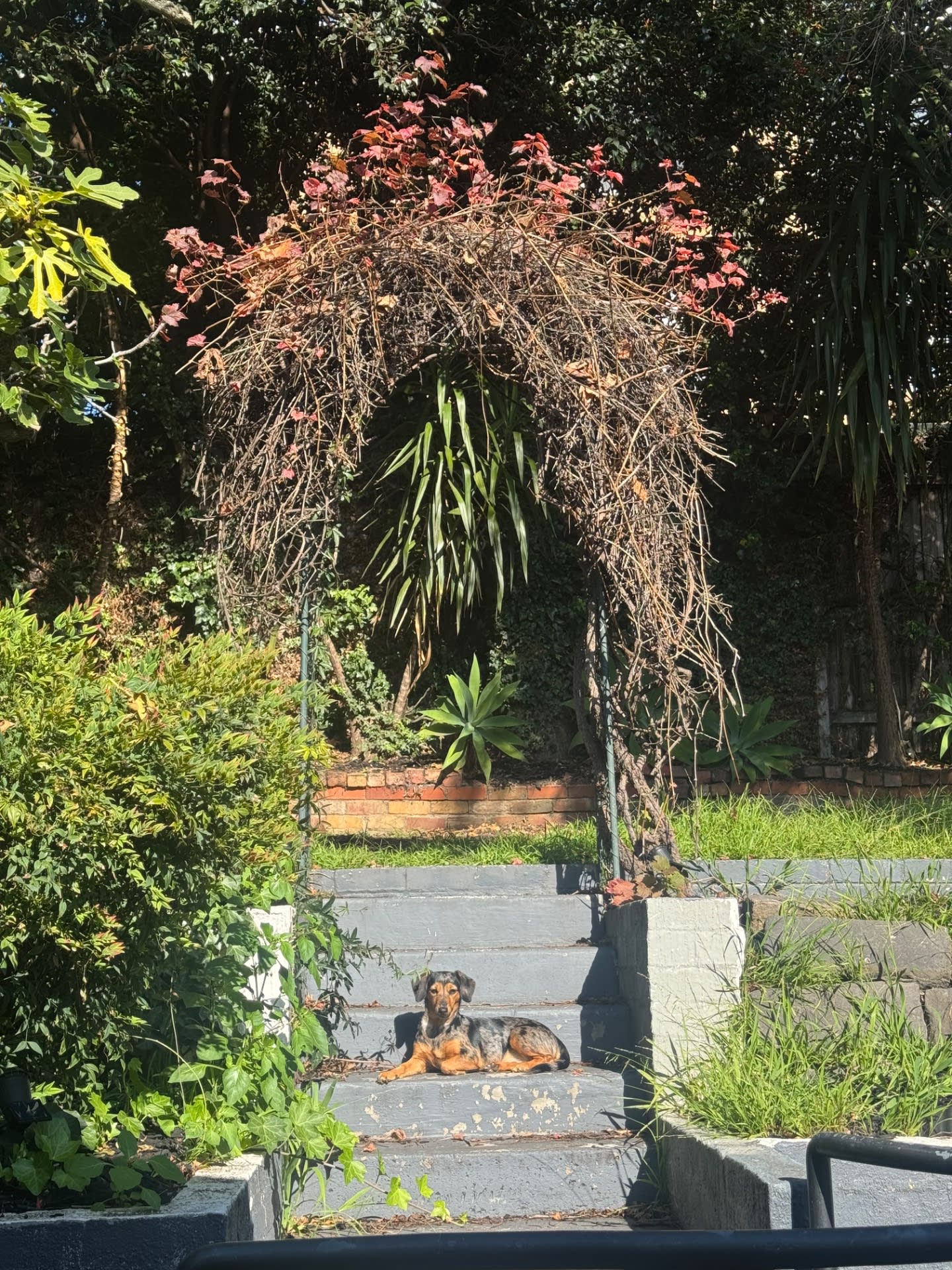 image-12