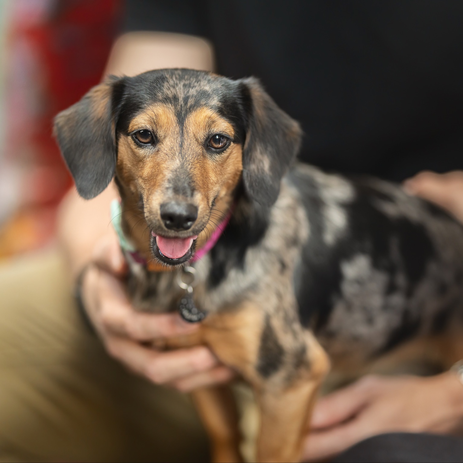 Matilda